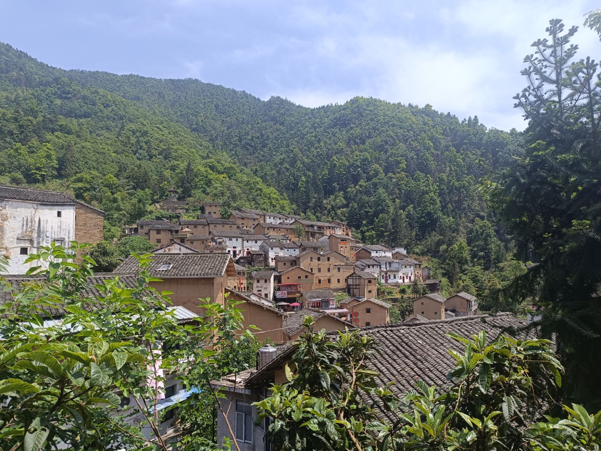 阳产村旅行图片 1
