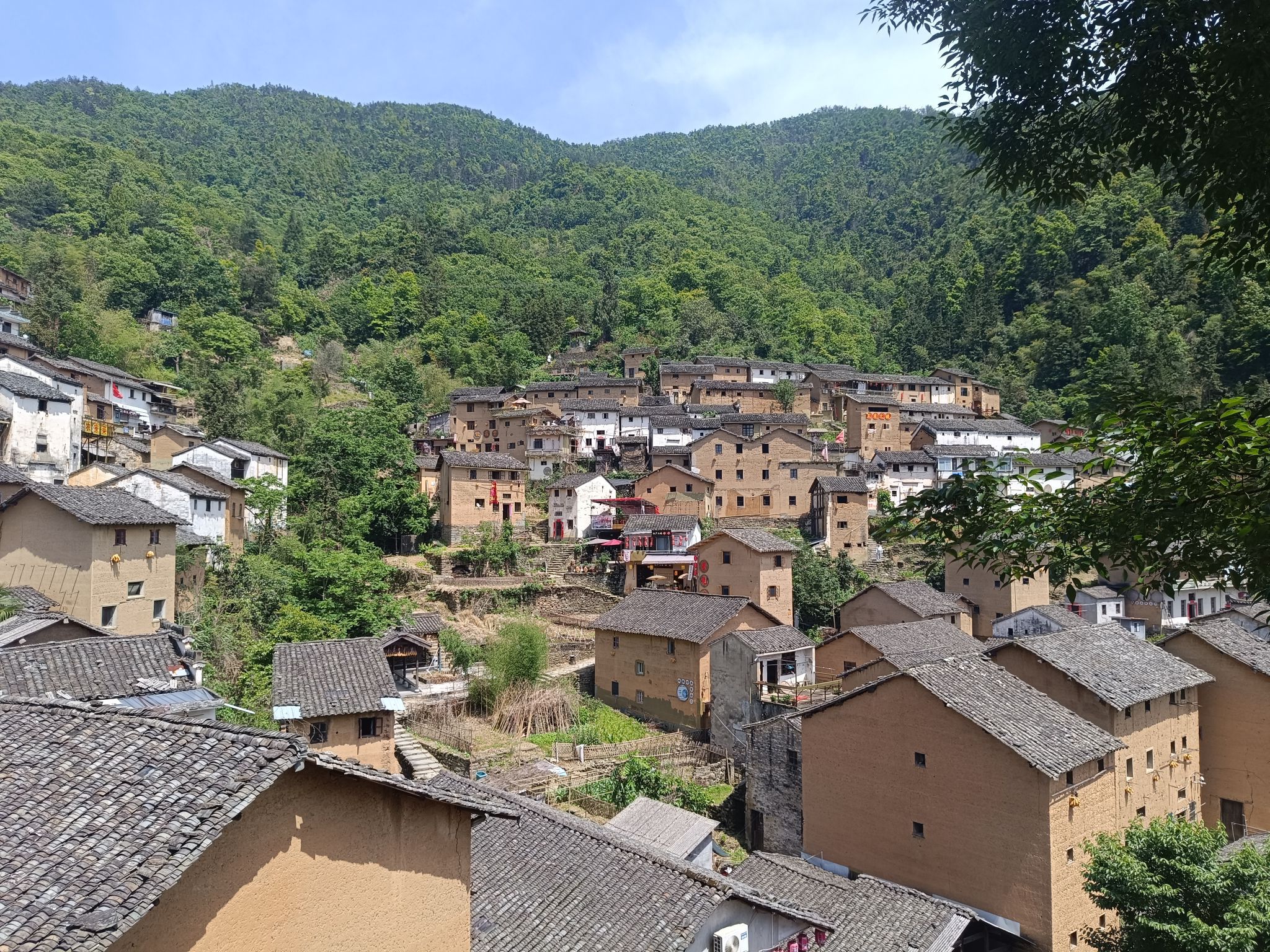 阳产村旅行图片 3