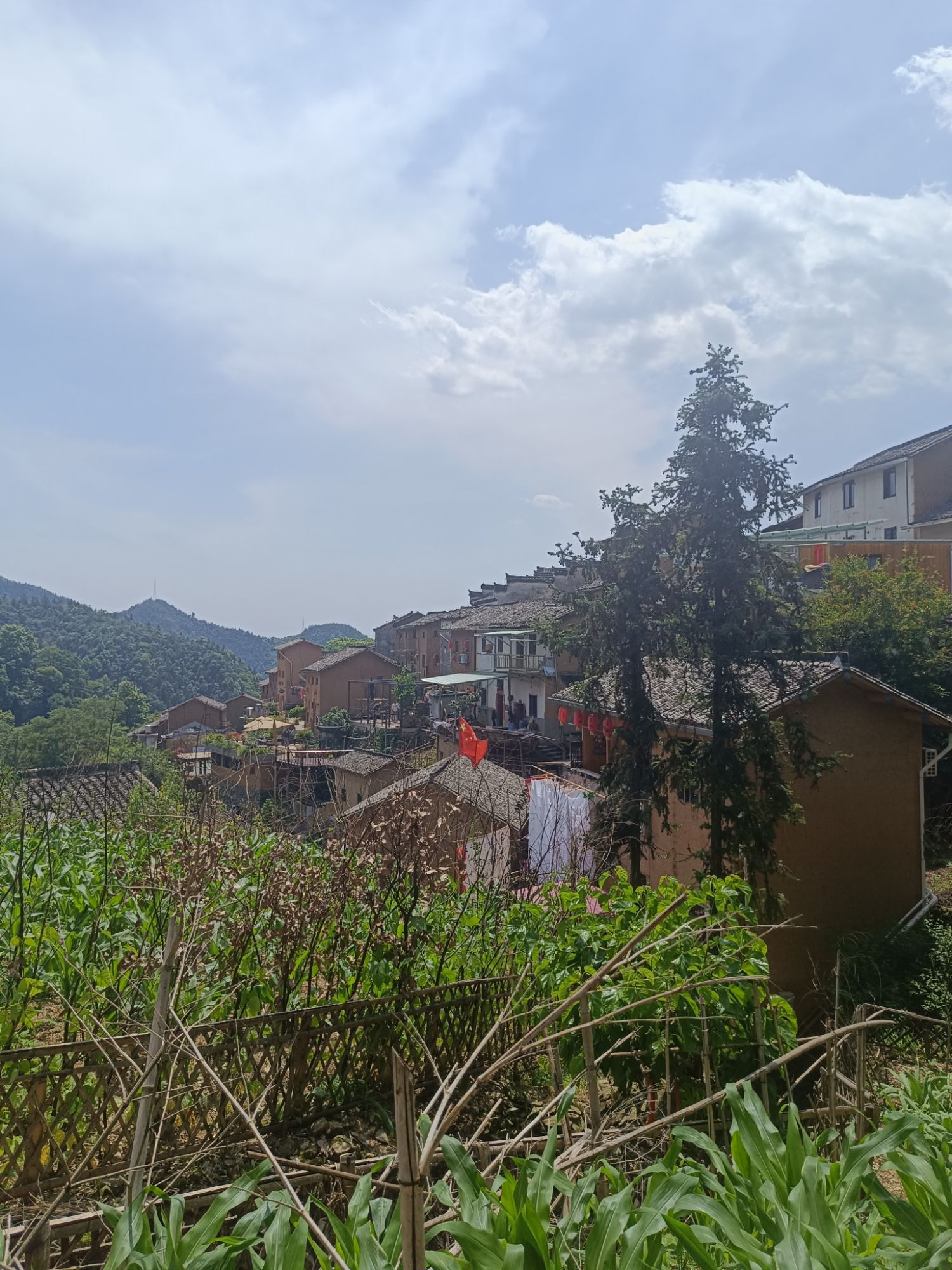 阳产村旅行图片 2