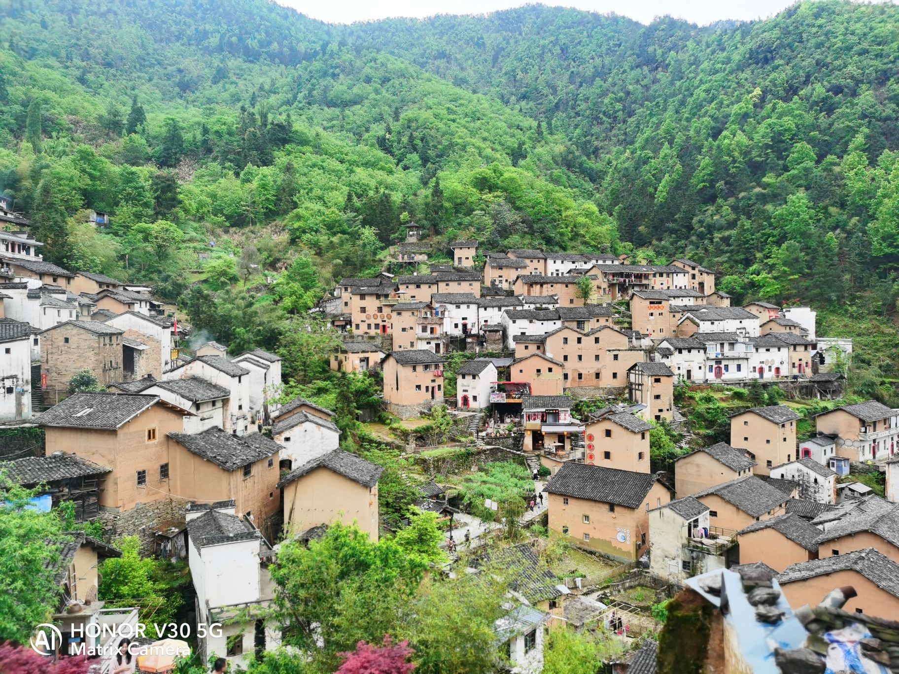 阳产村旅行图片 1