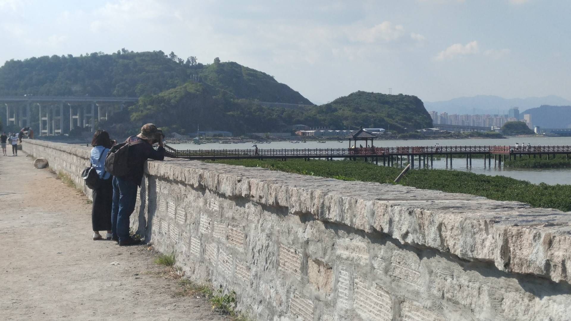 红树林景区旅行图片 1