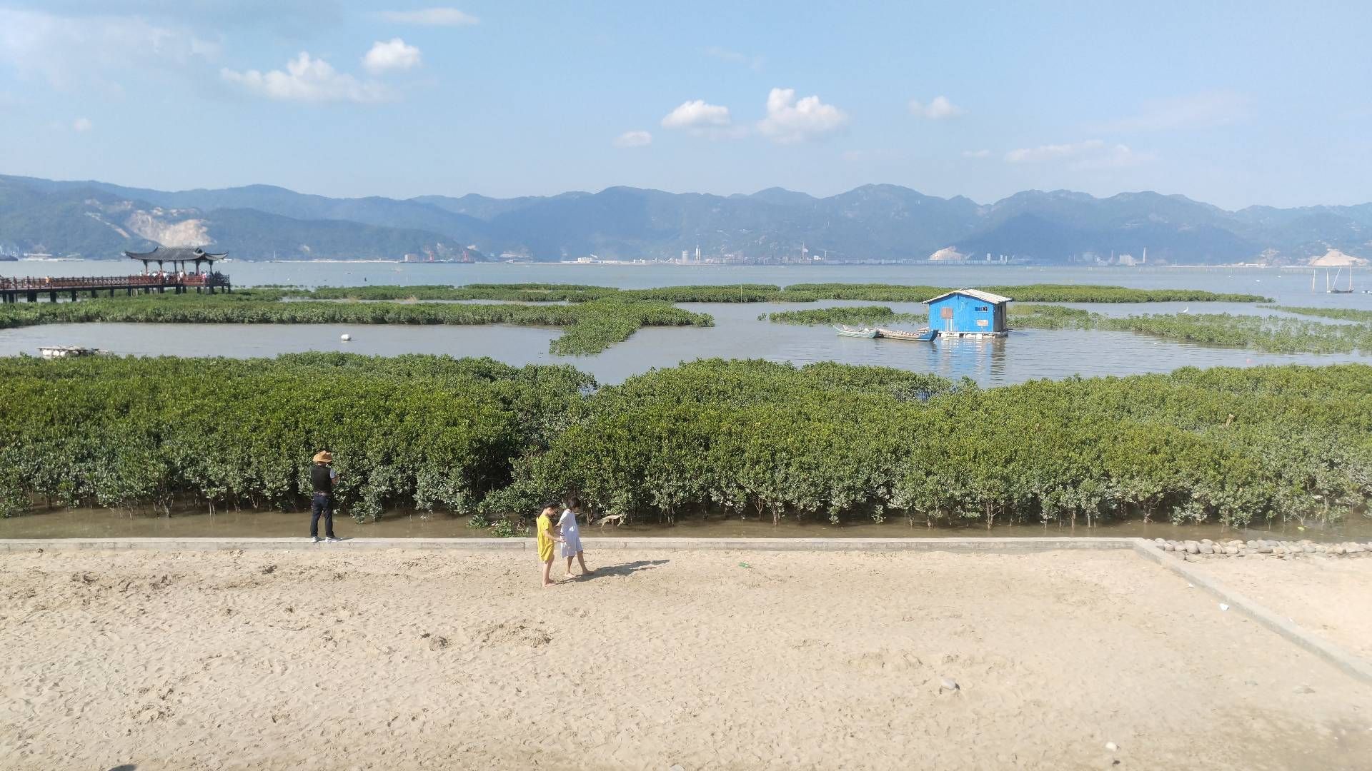 红树林景区旅行图片 3