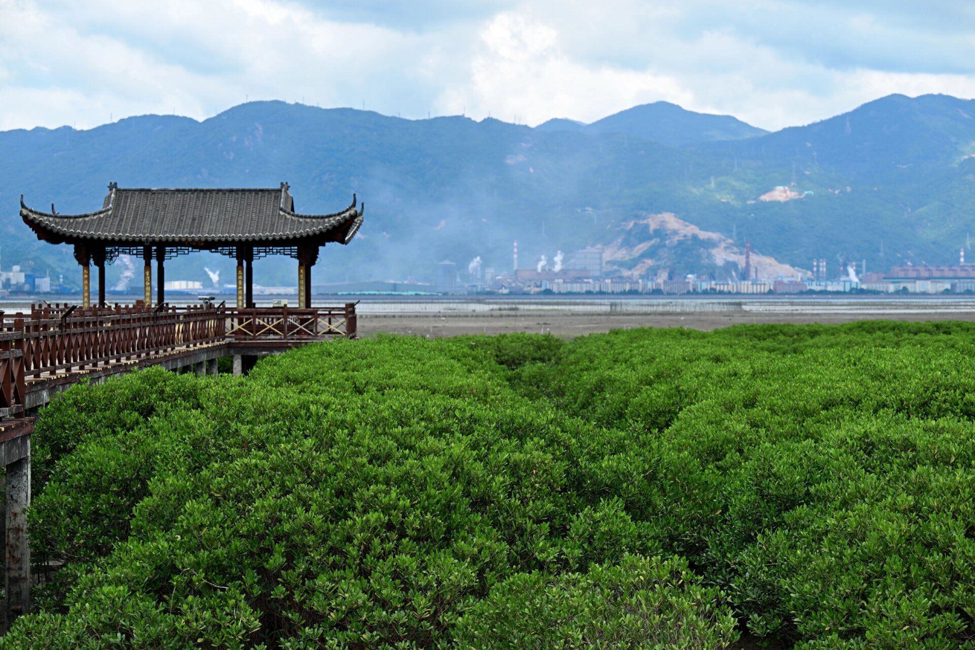 红树林景区旅行图片 3