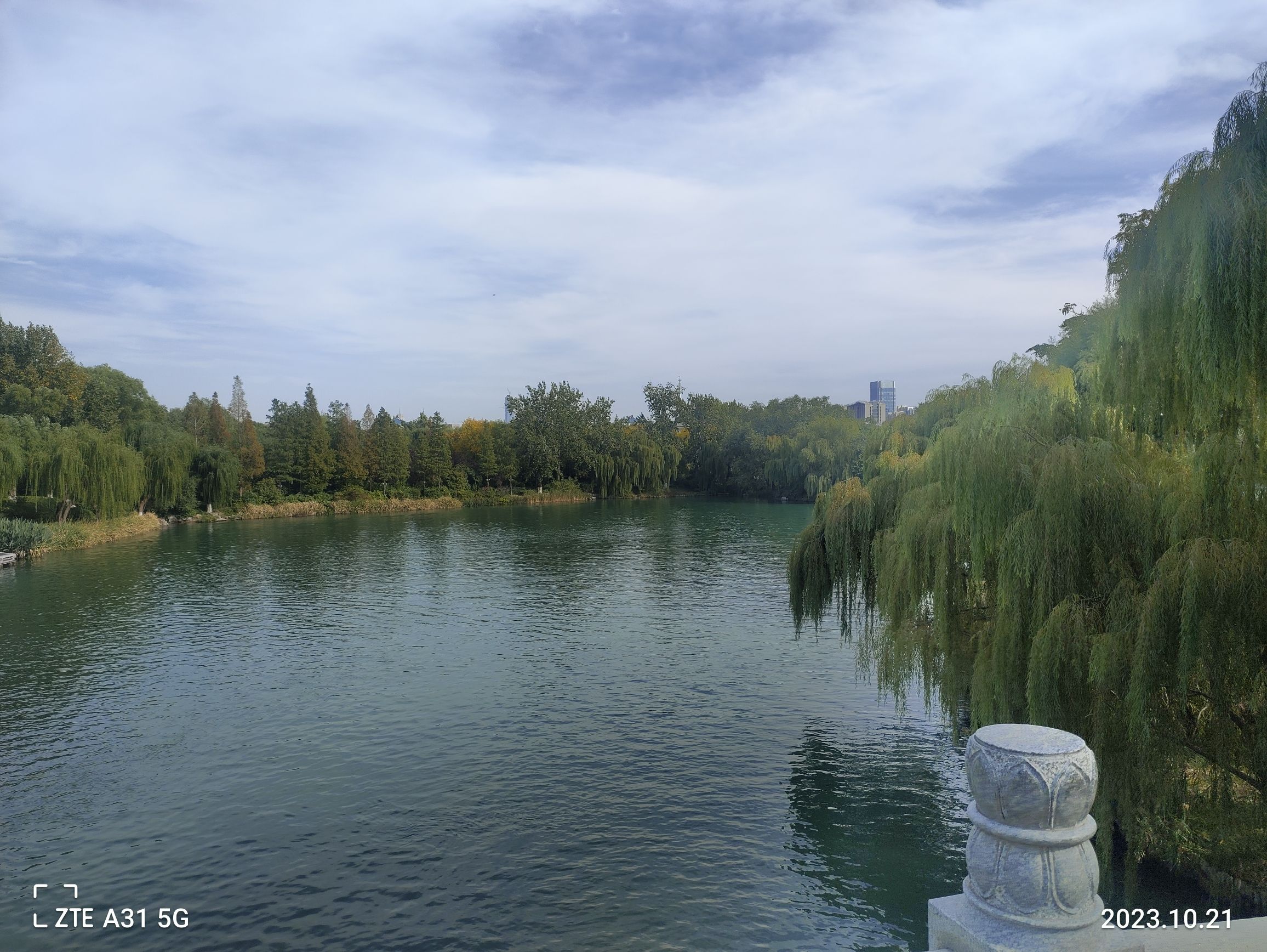 界首市森林公园旅行图片 3