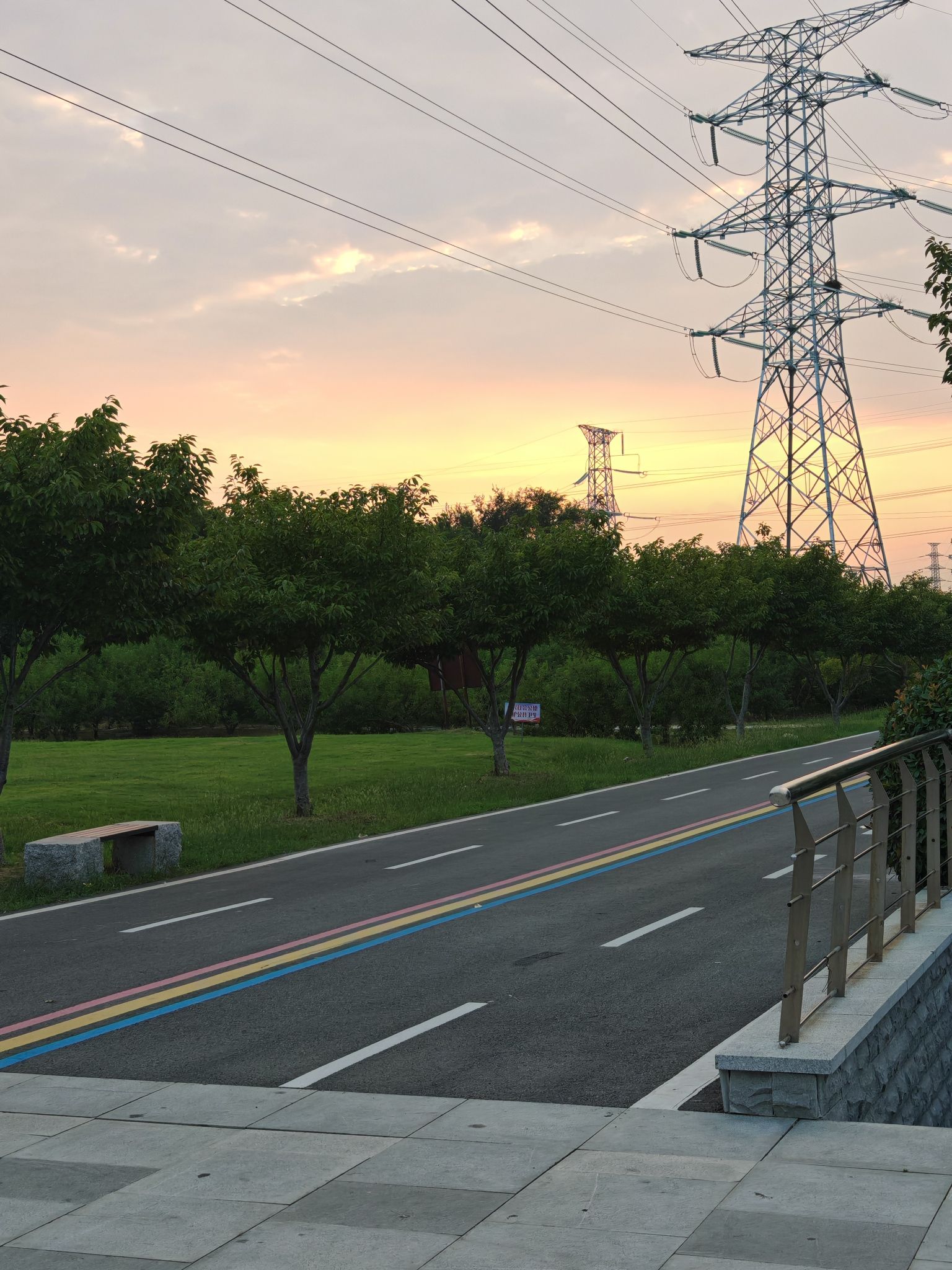 界首市森林公园旅行图片 2