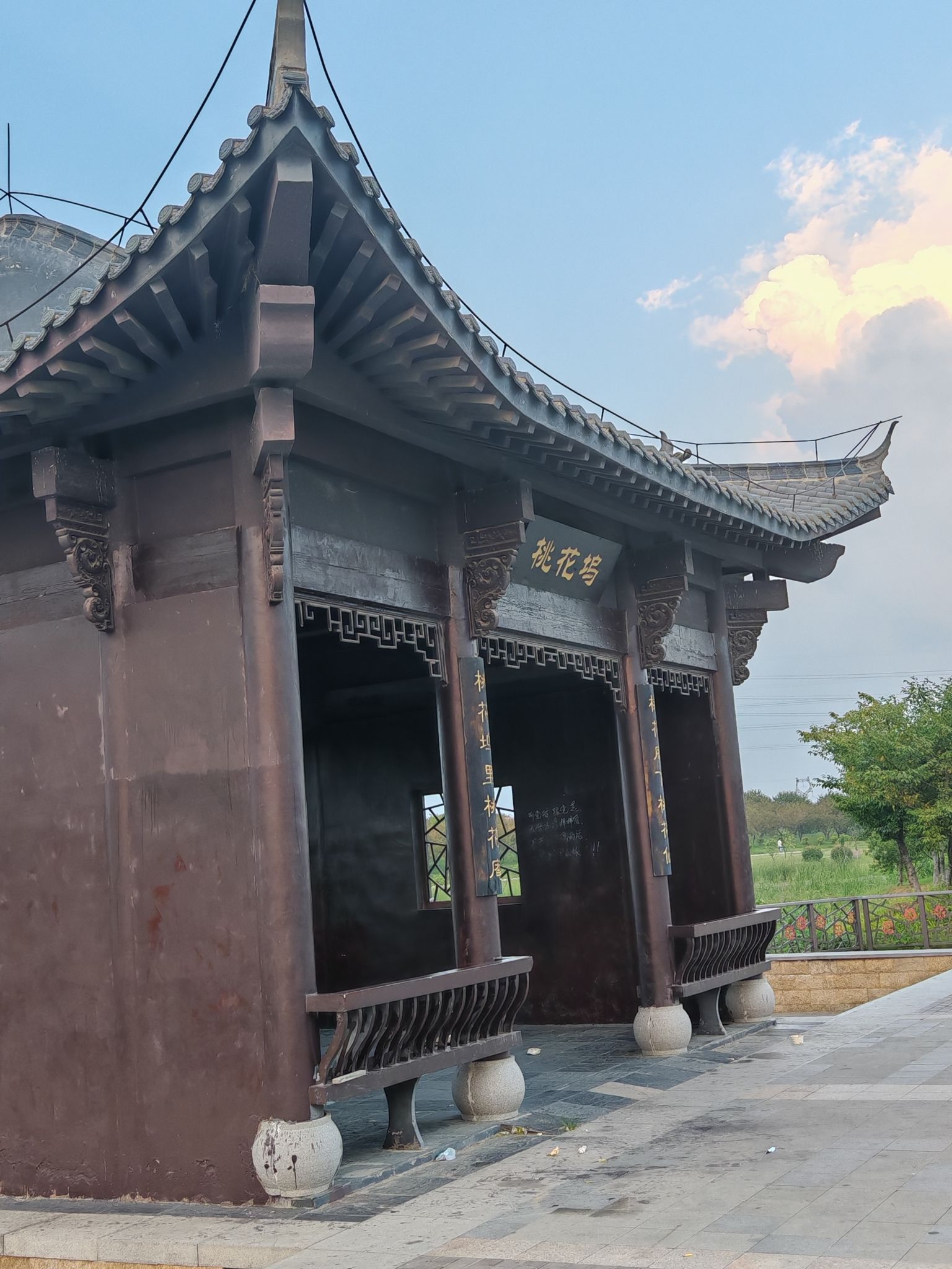 界首市森林公园旅行图片 1