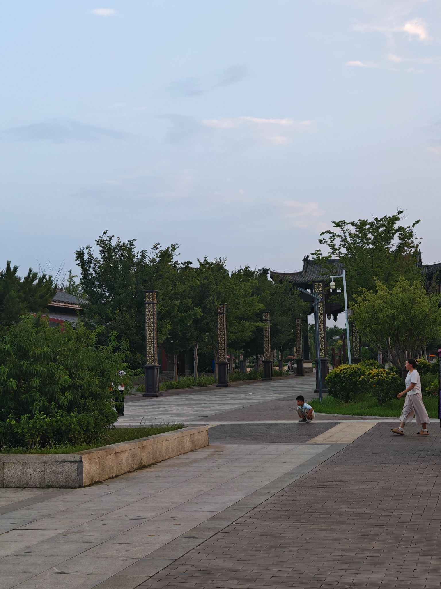 界首市森林公园旅行图片 3