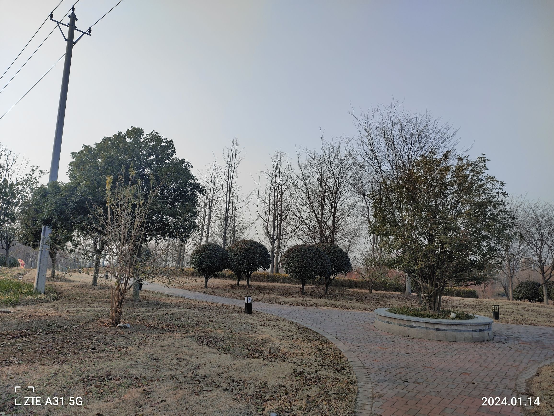 界首市森林公园旅行图片 2