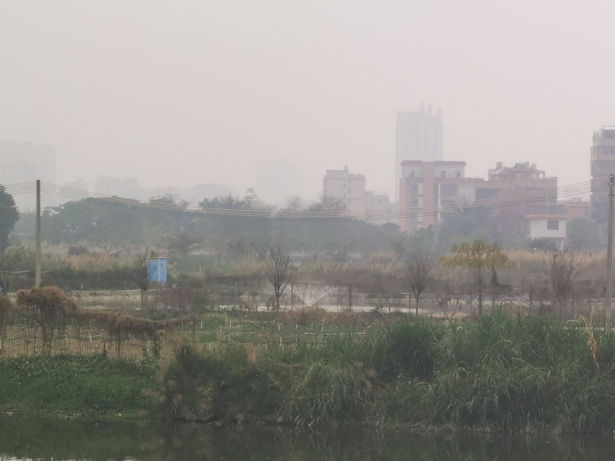榕江大洲岛生态观光园旅行图片 1