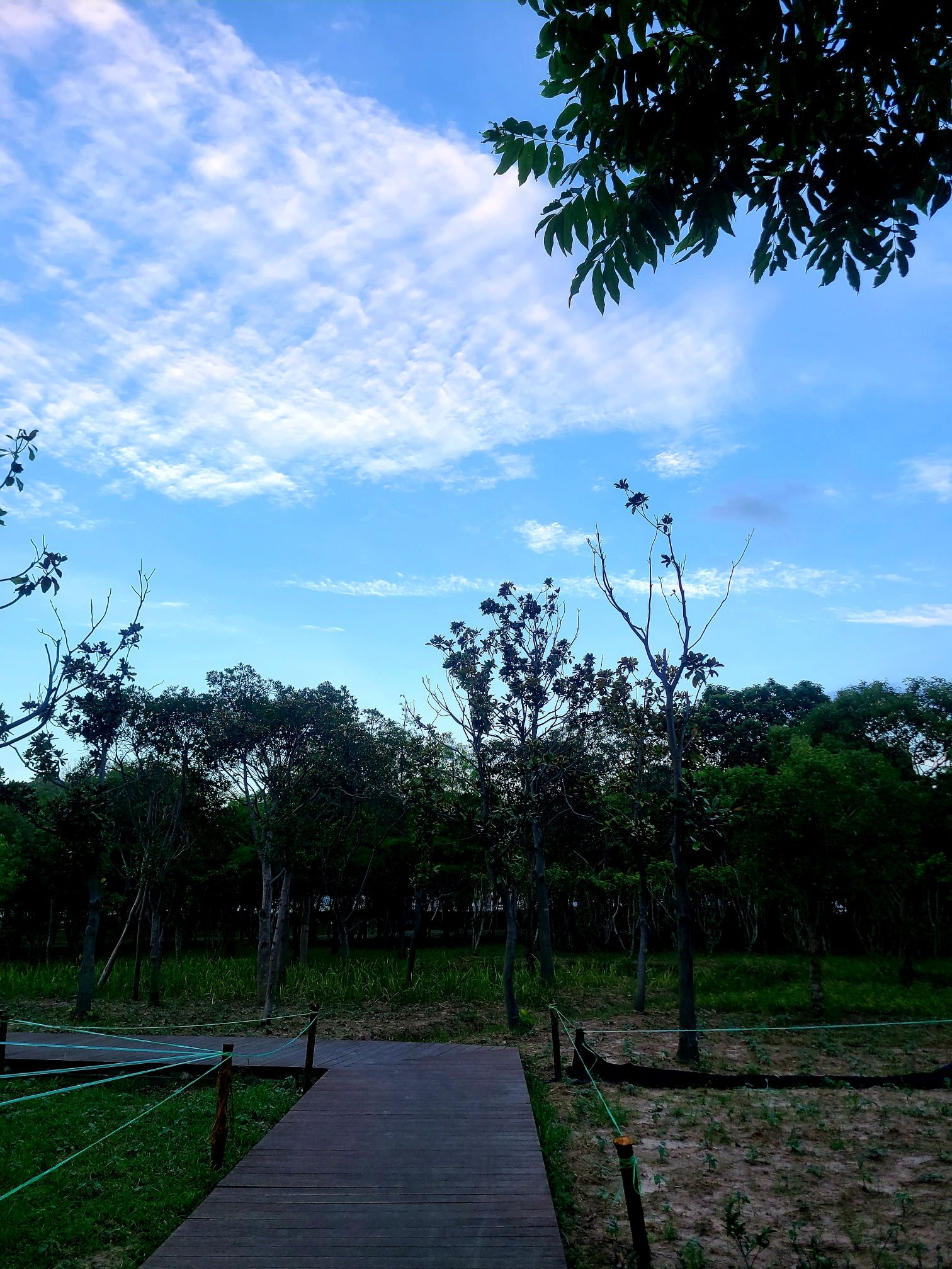 合庆郊野公园旅行图片 3