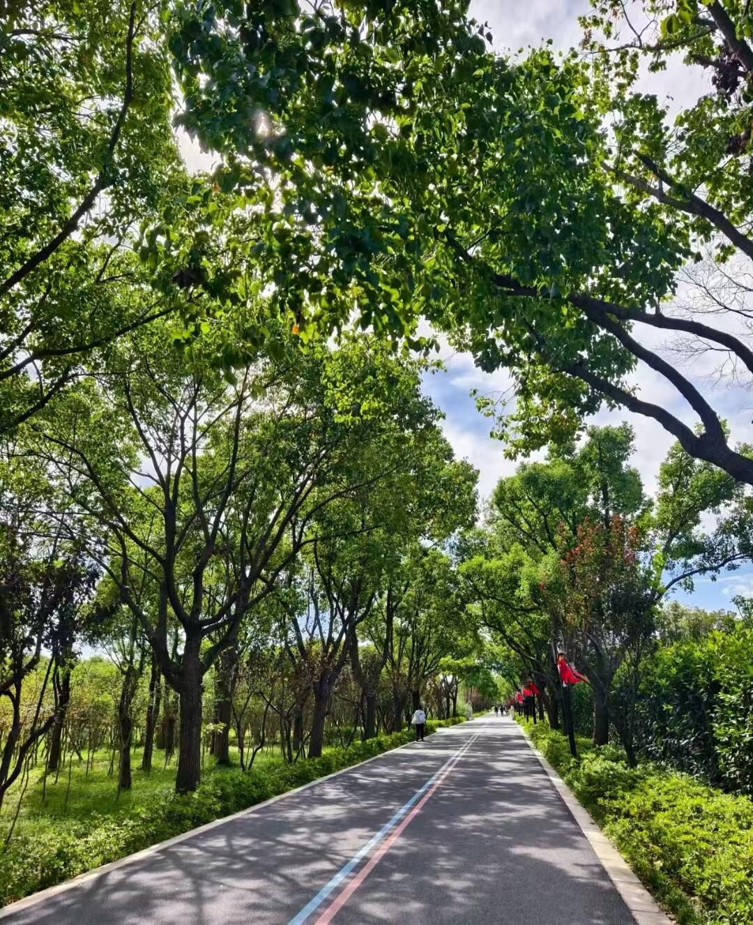合庆郊野公园旅行图片 3