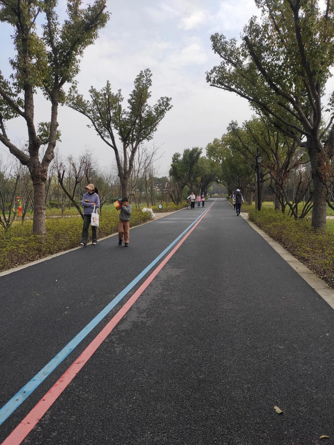 合庆郊野公园旅行图片 1