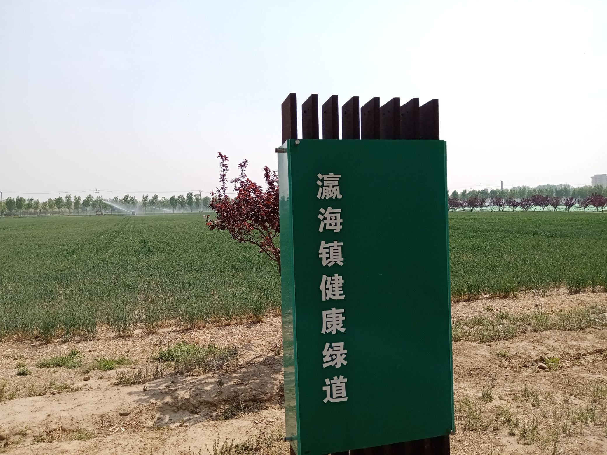 红星集体农庄纪念公园旅行图片 3