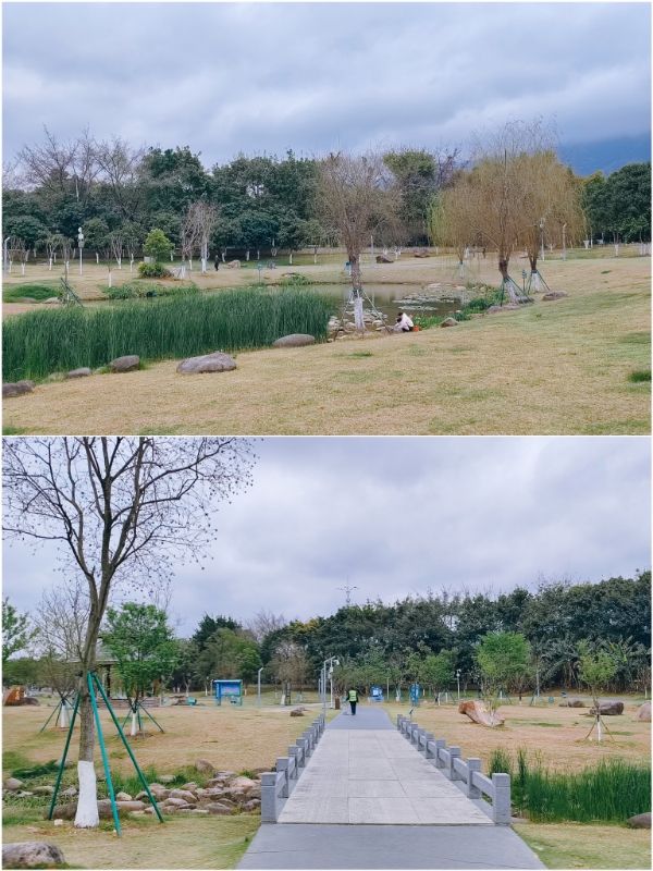 沙堤市民公园旅行图片 3