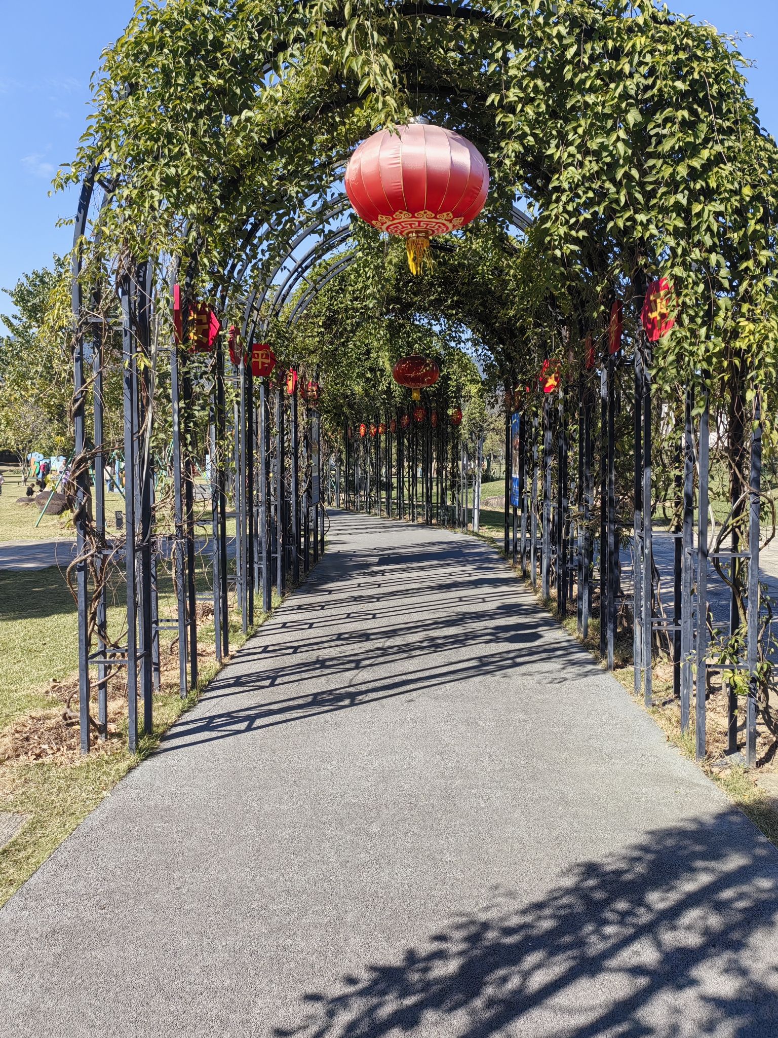 沙堤市民公园旅行图片 2