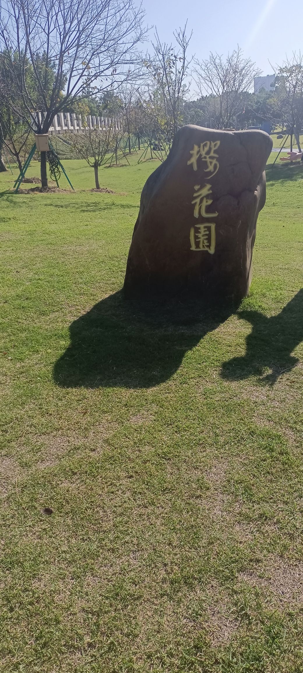 沙堤市民公园旅行图片 3