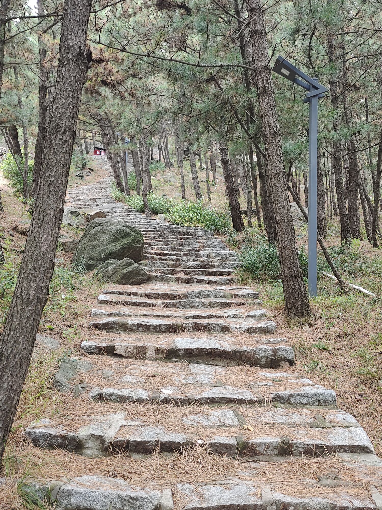 烟台市岱王山公园旅行图片 3