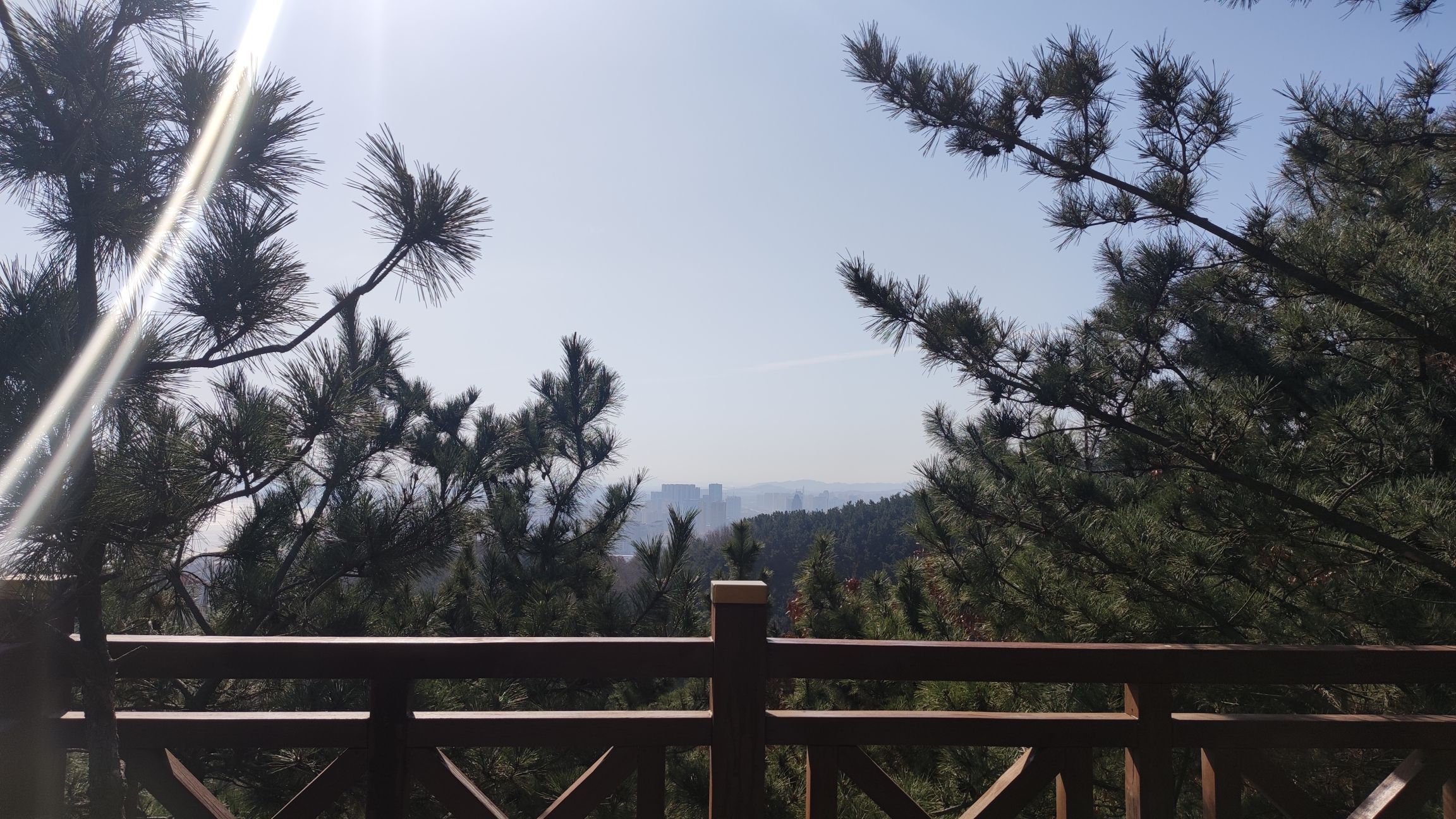 烟台市岱王山公园旅行图片 1
