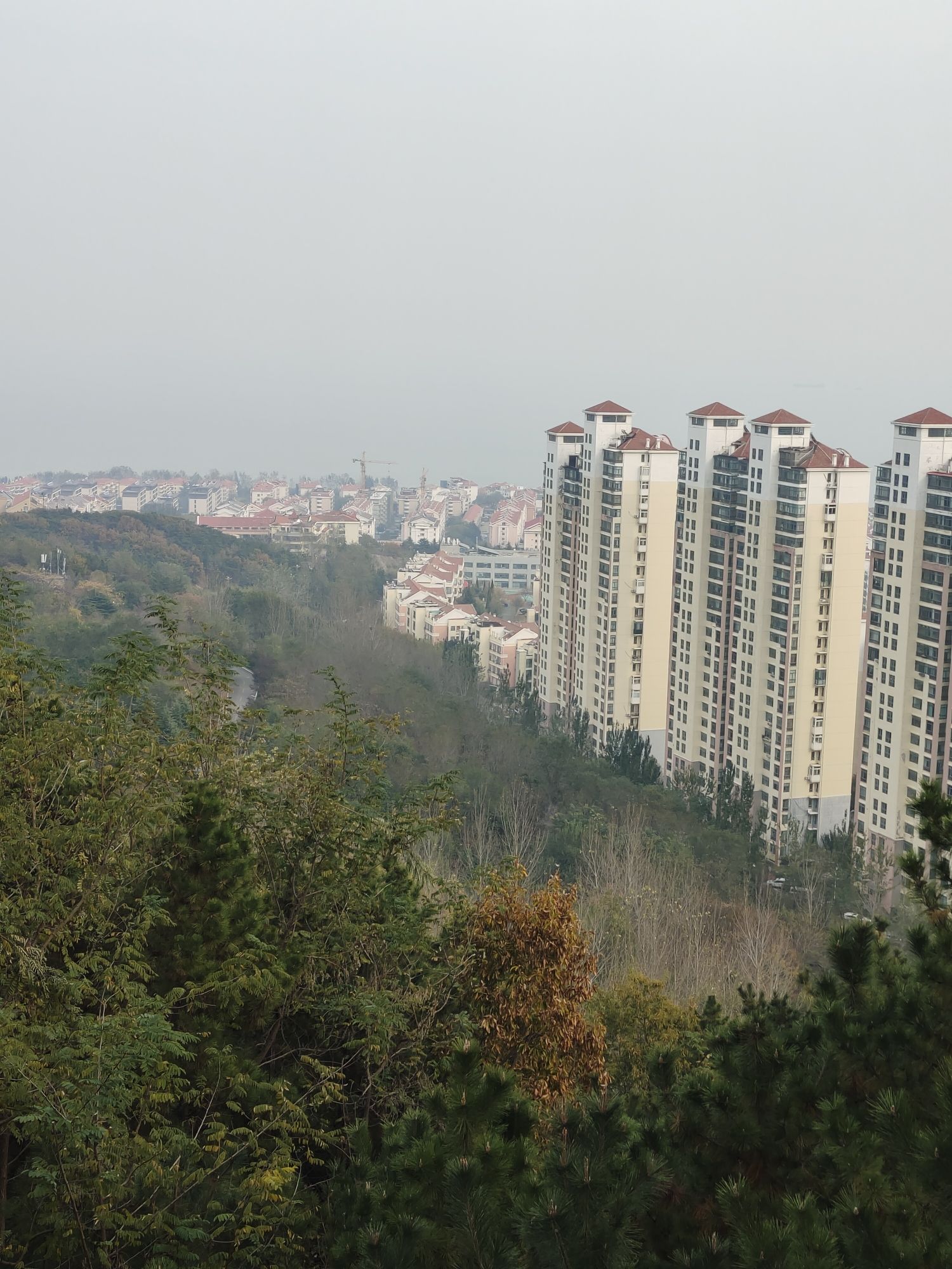 烟台市岱王山公园旅行图片 1