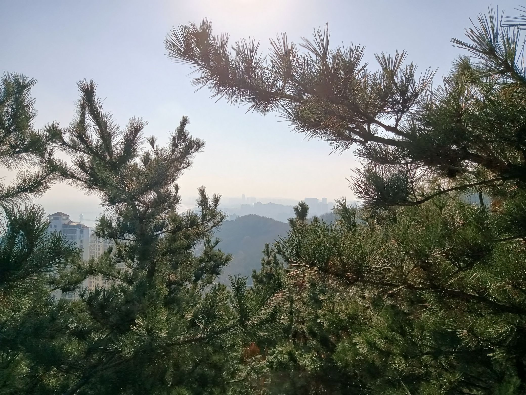 烟台市岱王山公园旅行图片 2