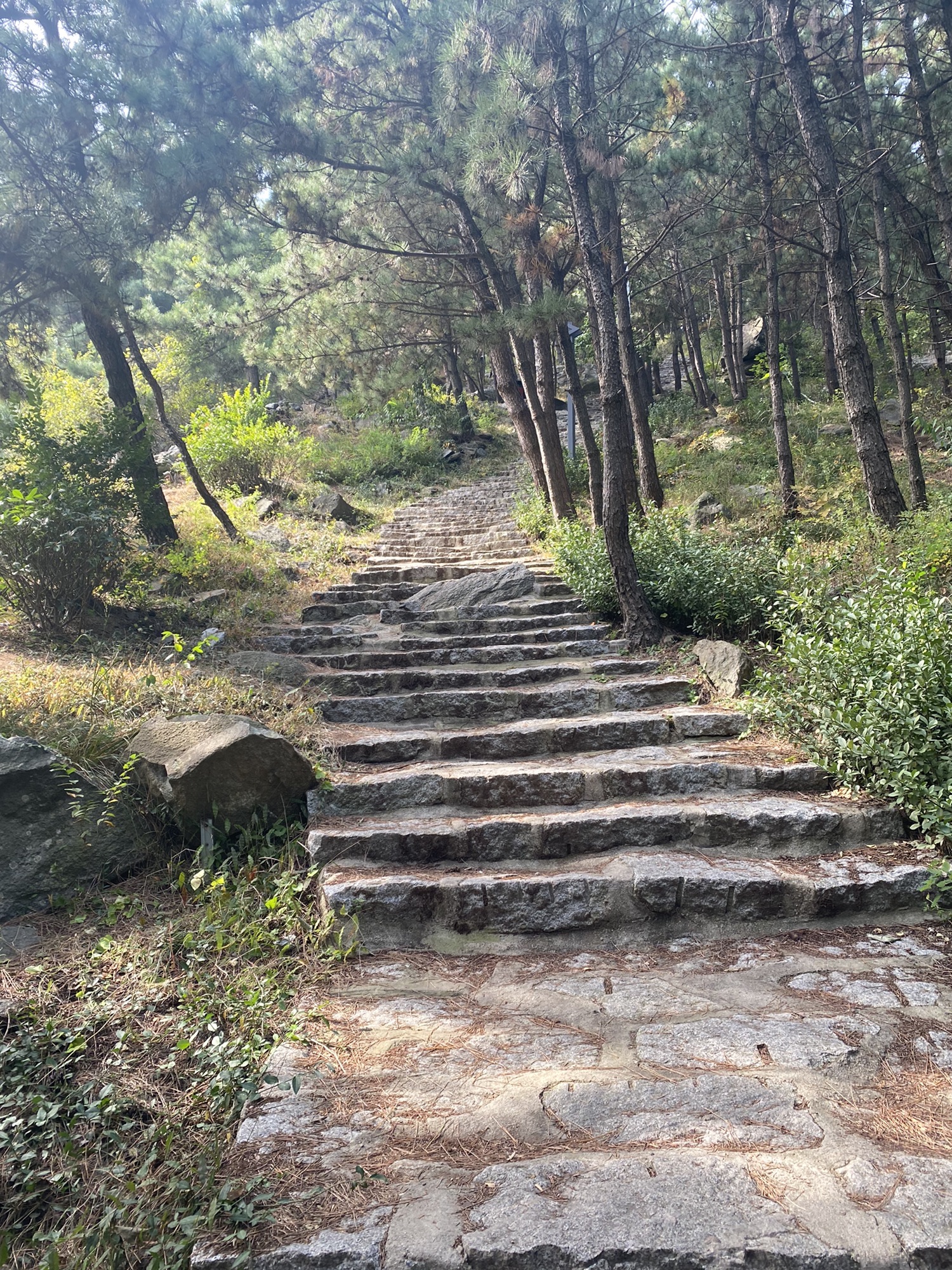 烟台市岱王山公园旅行图片 2