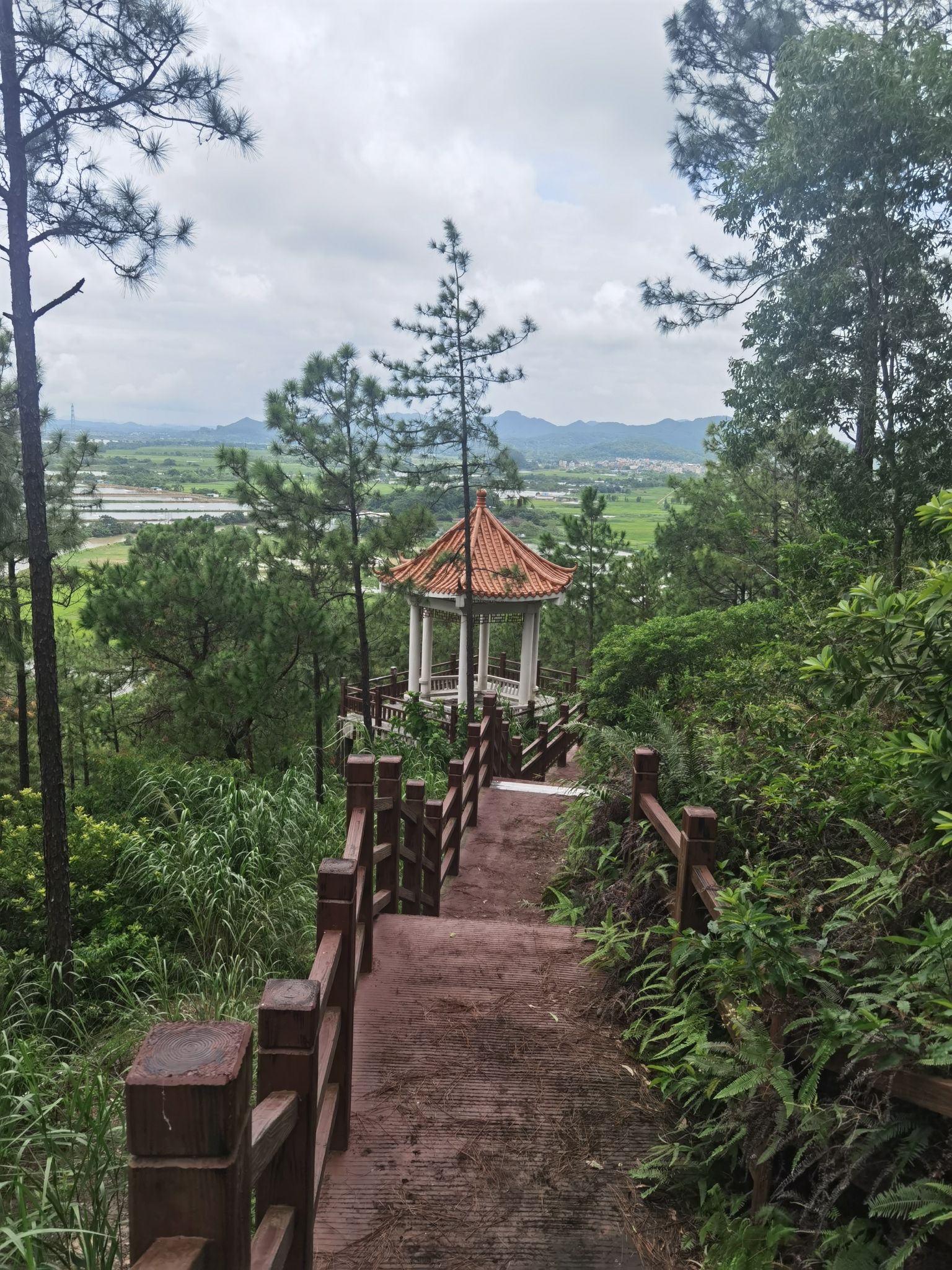 尖山郊野公园旅行图片 2