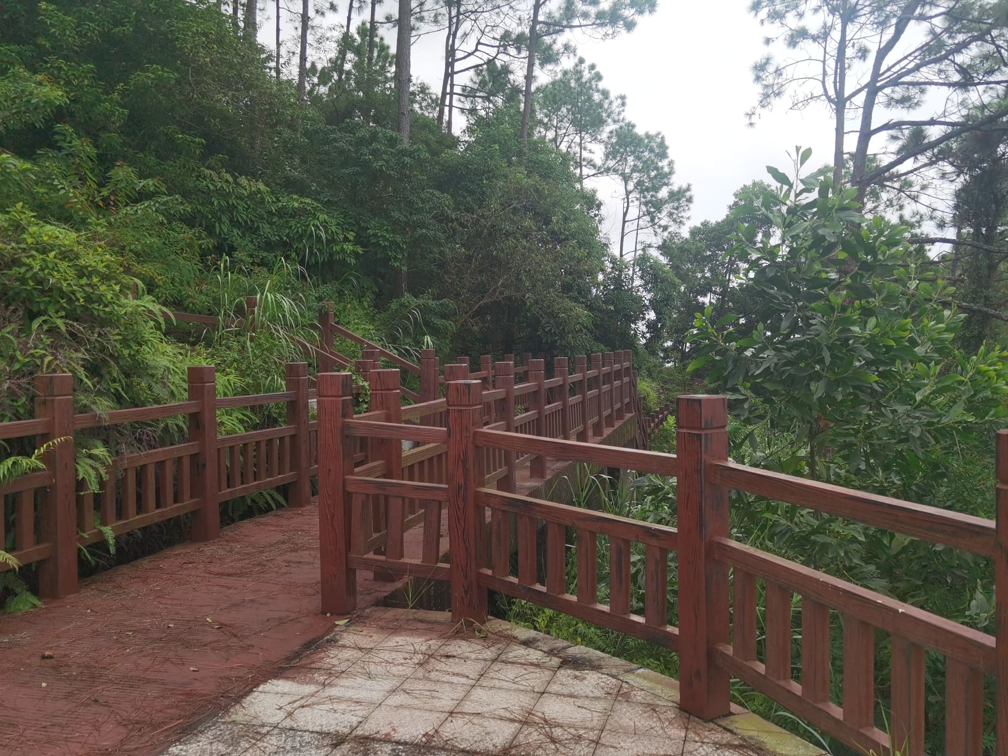 尖山郊野公园旅行图片 3