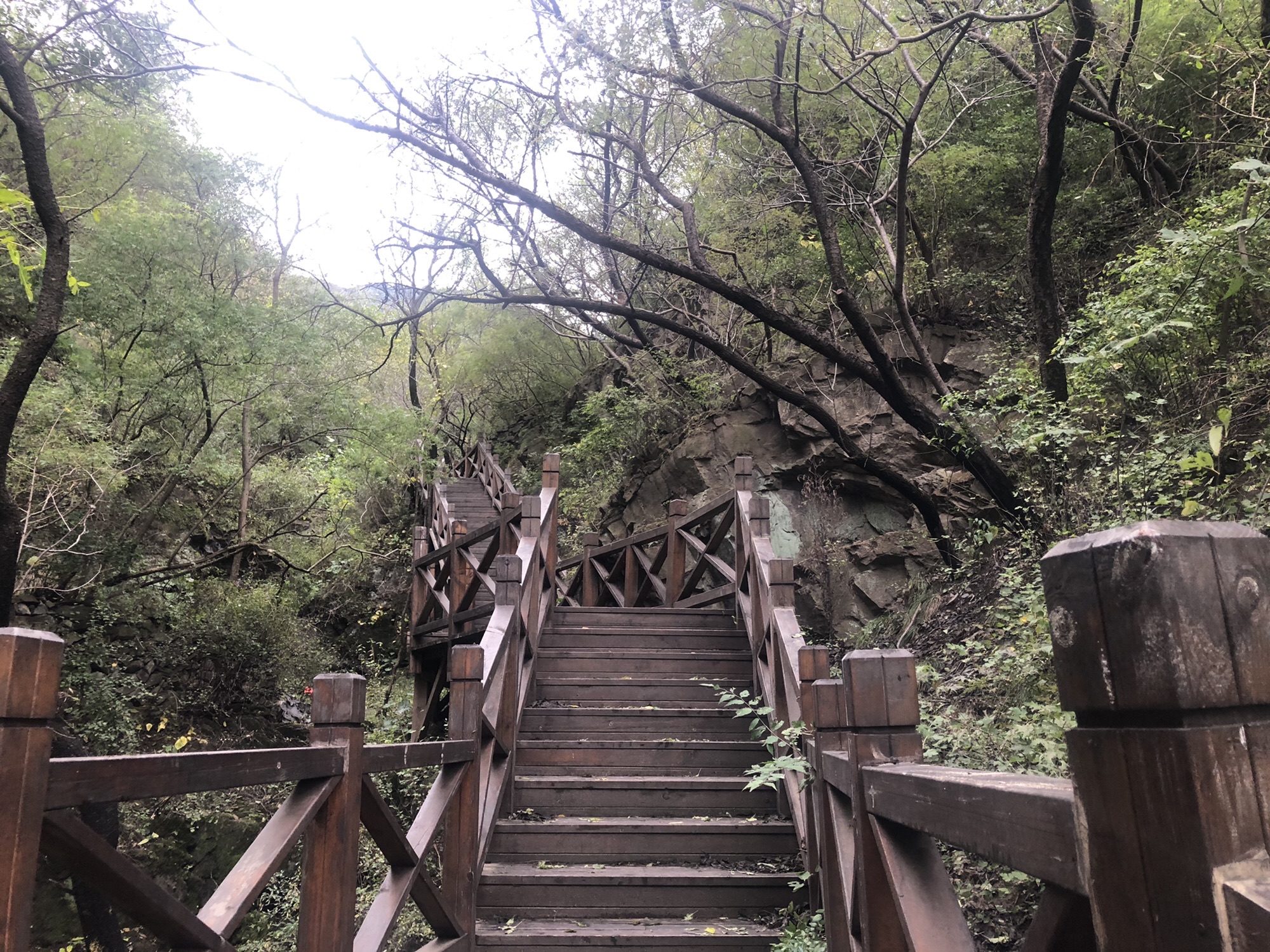 京西十八潭-木栈道