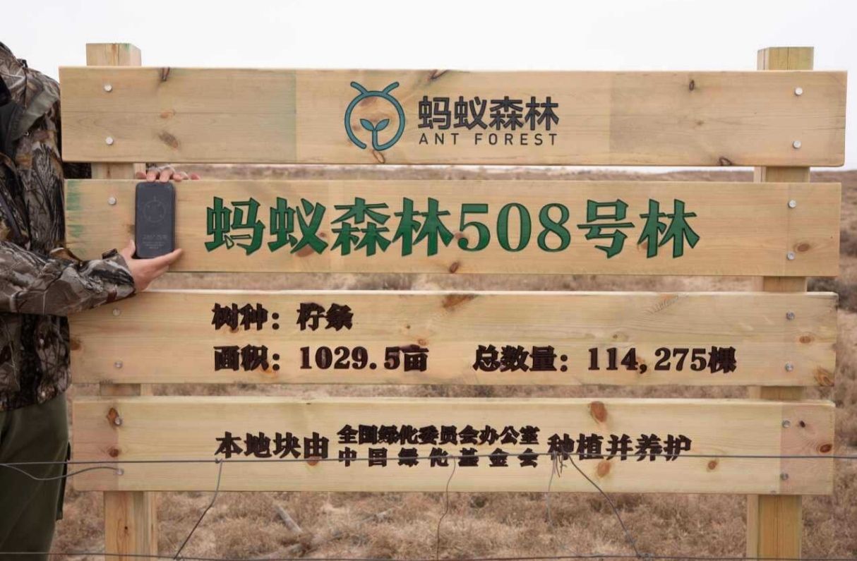蚂蚁森林508号林·柠条旅行图片 1