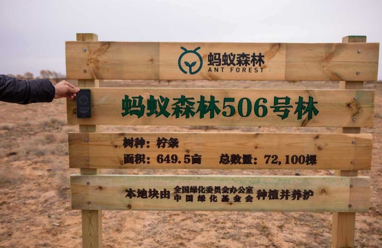 蚂蚁森林506号林·柠条旅行图片