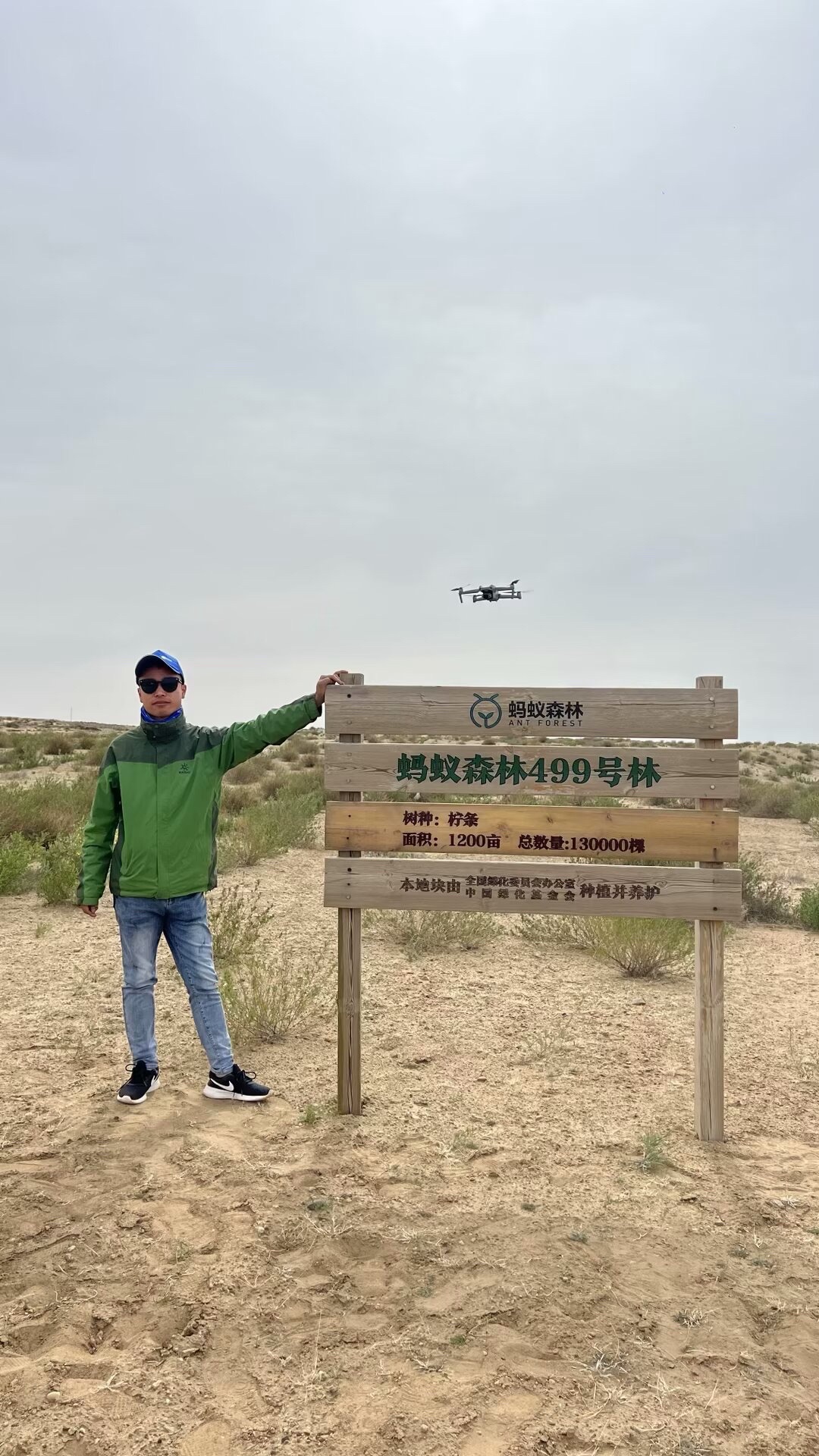 蚂蚁森林499号林-2·柠条旅行图片 2