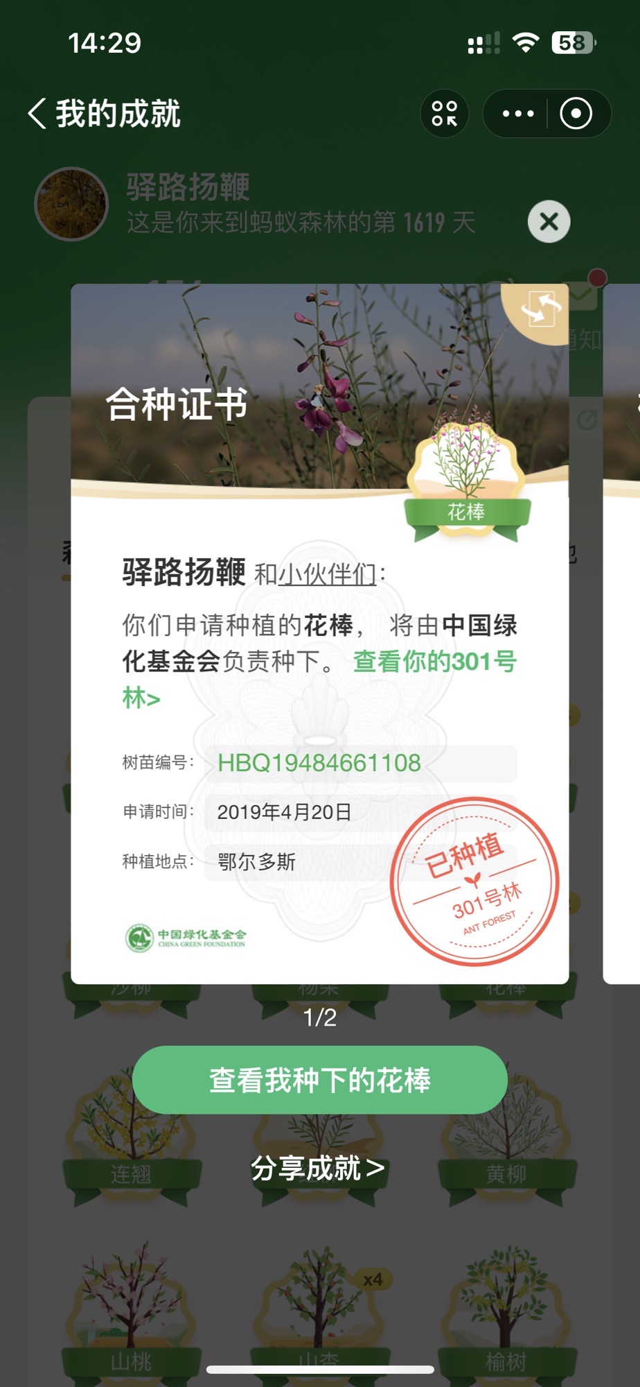 蚂蚁森林301号林·花棒旅行图片