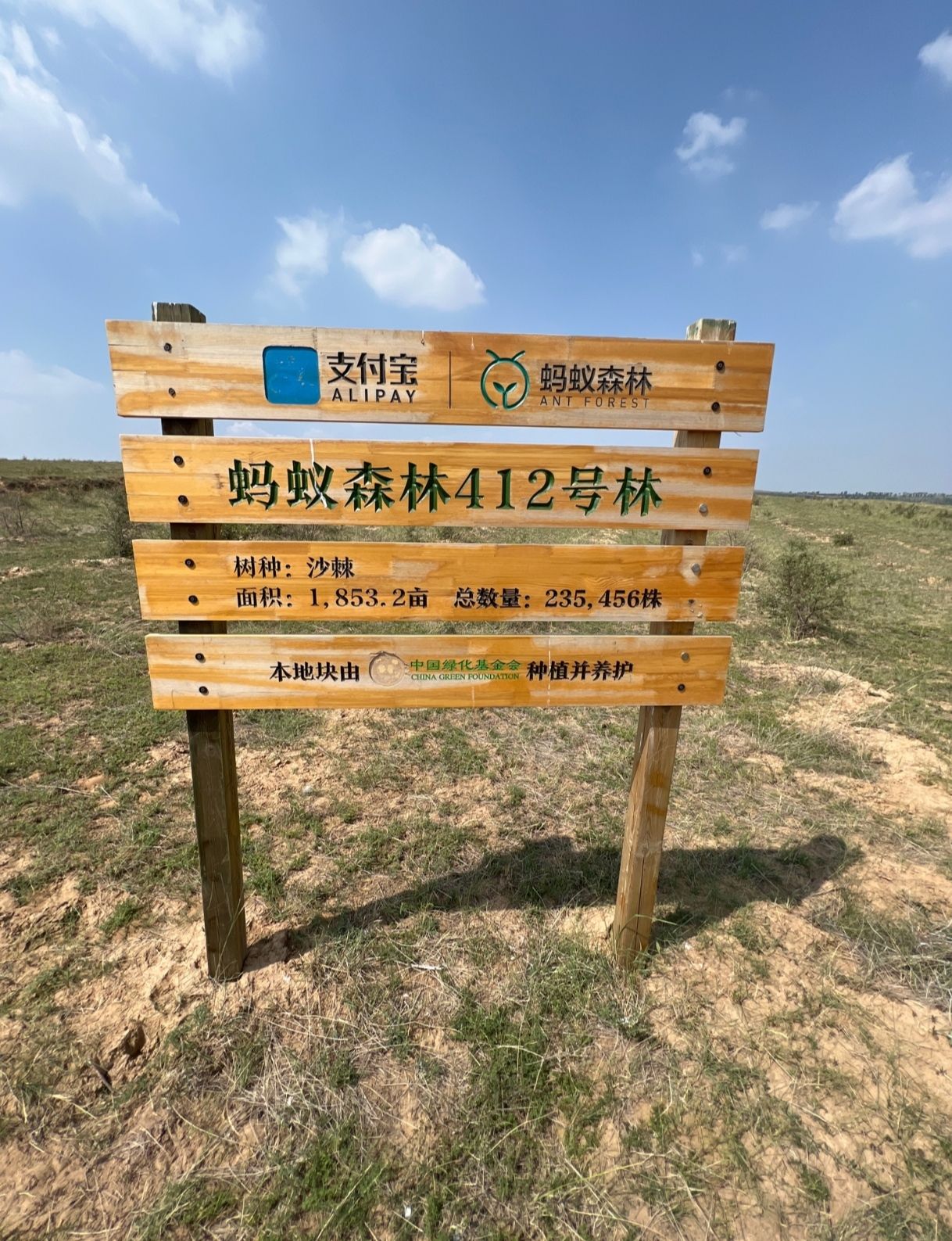 蚂蚁森林412号林·沙棘旅行图片 1