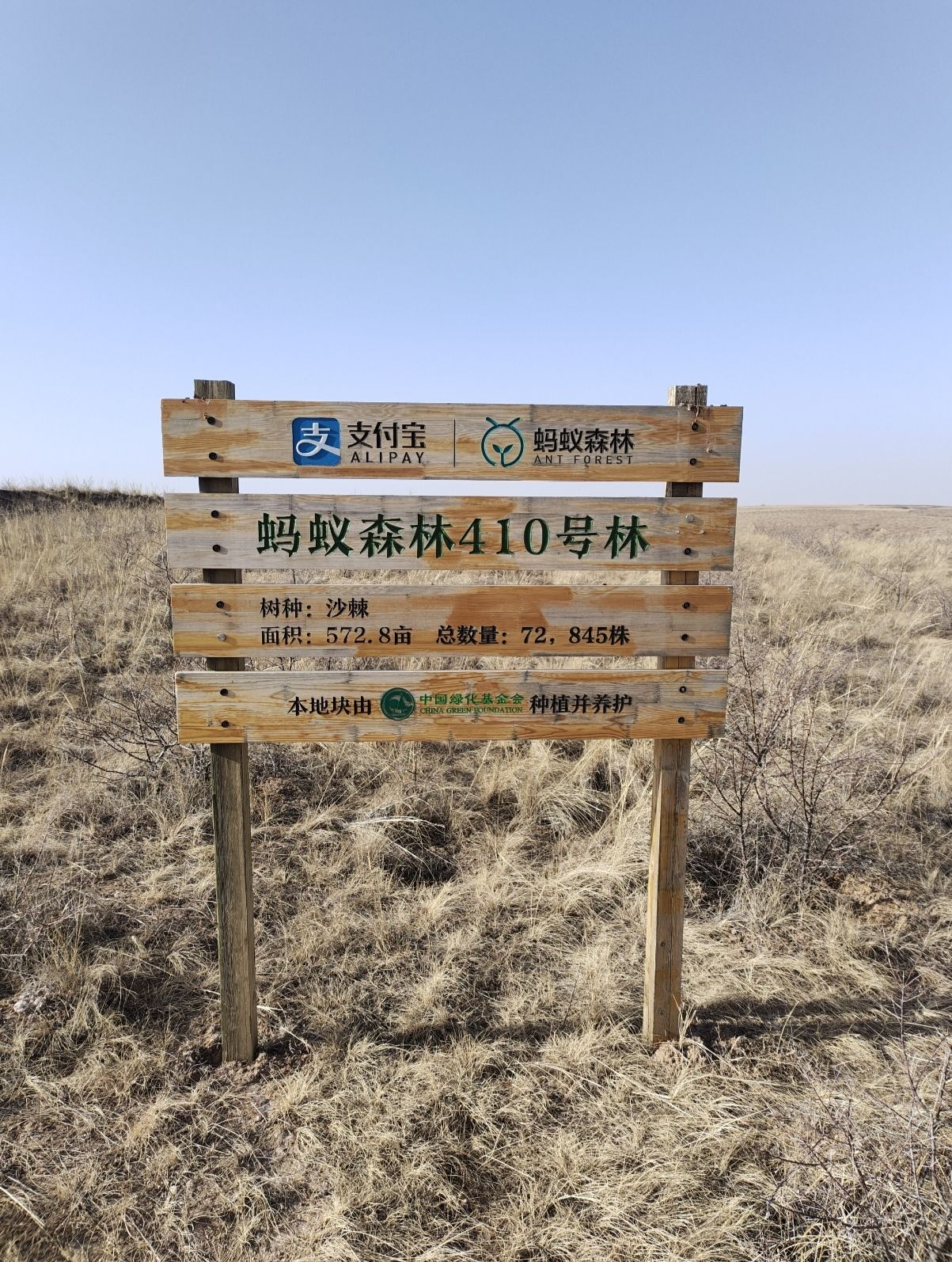 蚂蚁森林410号林·沙棘旅行图片 1