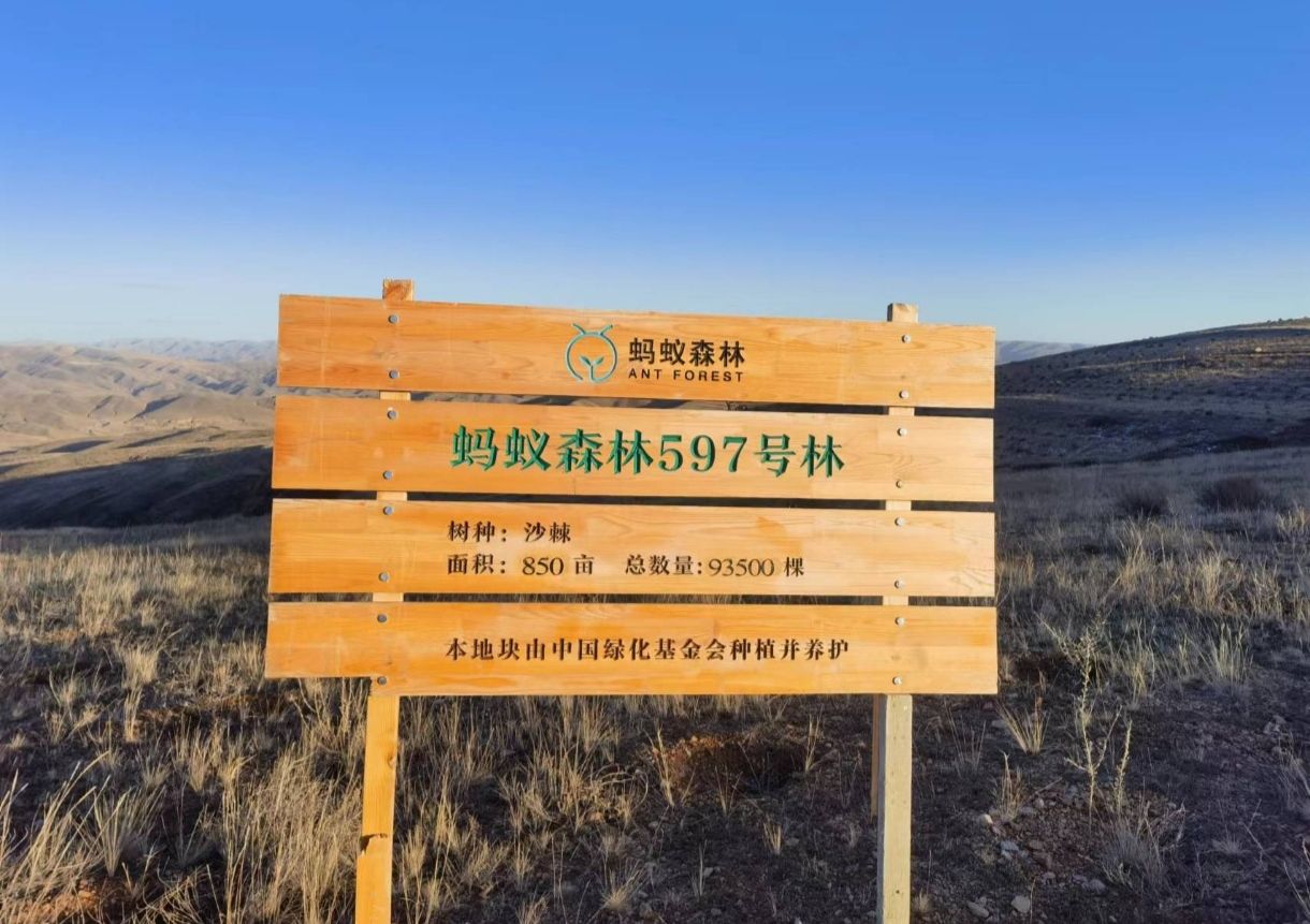蚂蚁森林597号林·沙棘旅行图片 1