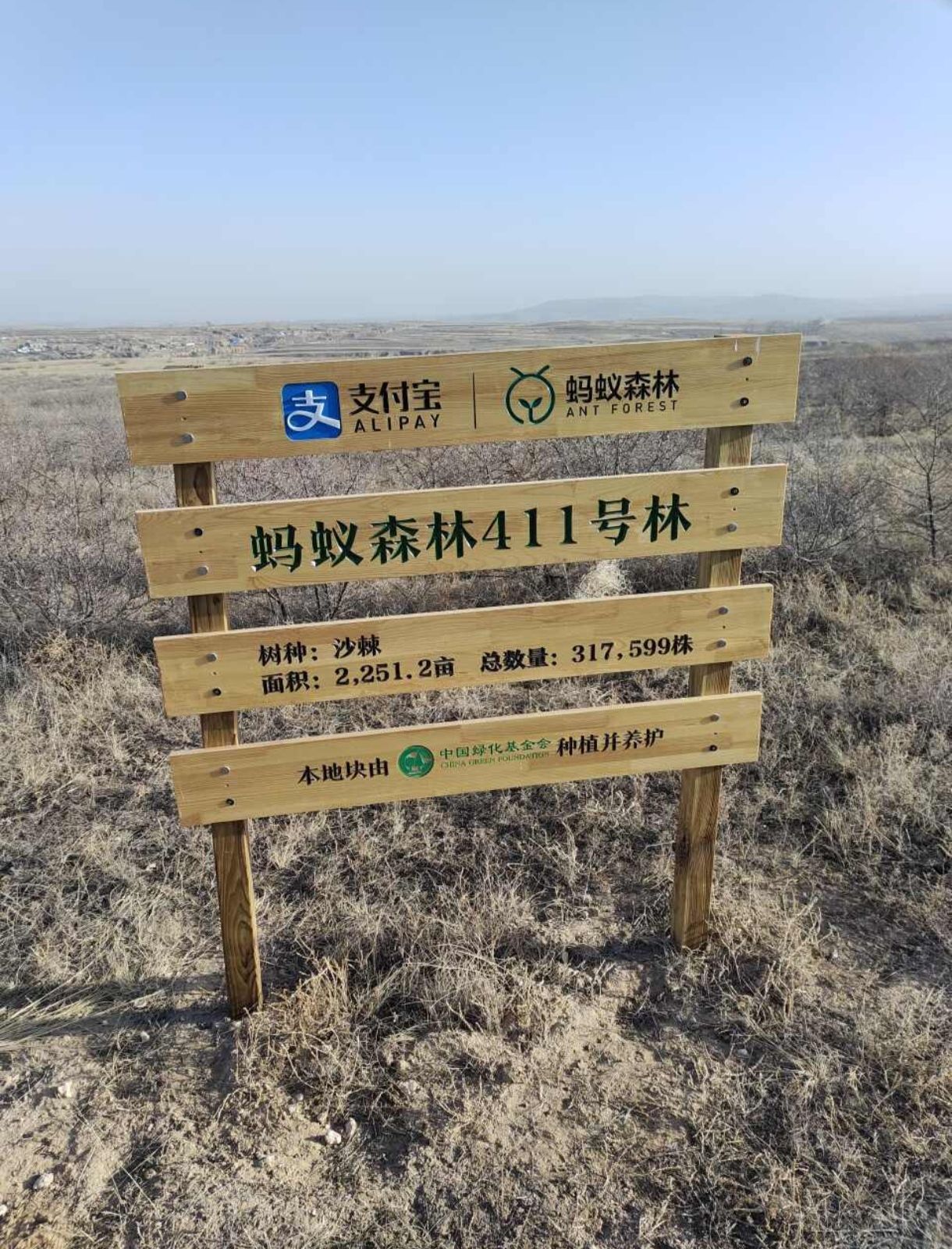 蚂蚁森林411号林·沙棘旅行图片 1