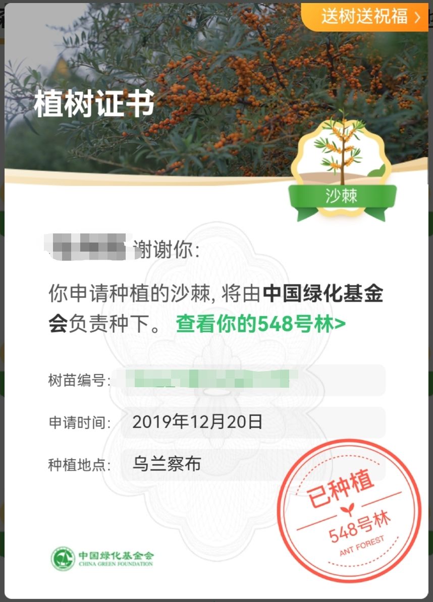 蚂蚁森林548号林·沙棘旅行图片 1