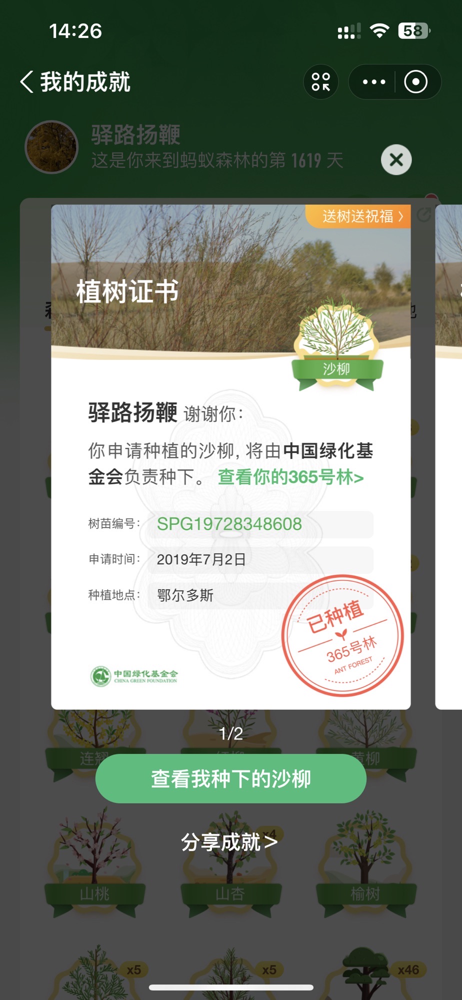蚂蚁森林365号林·沙柳旅行图片 2