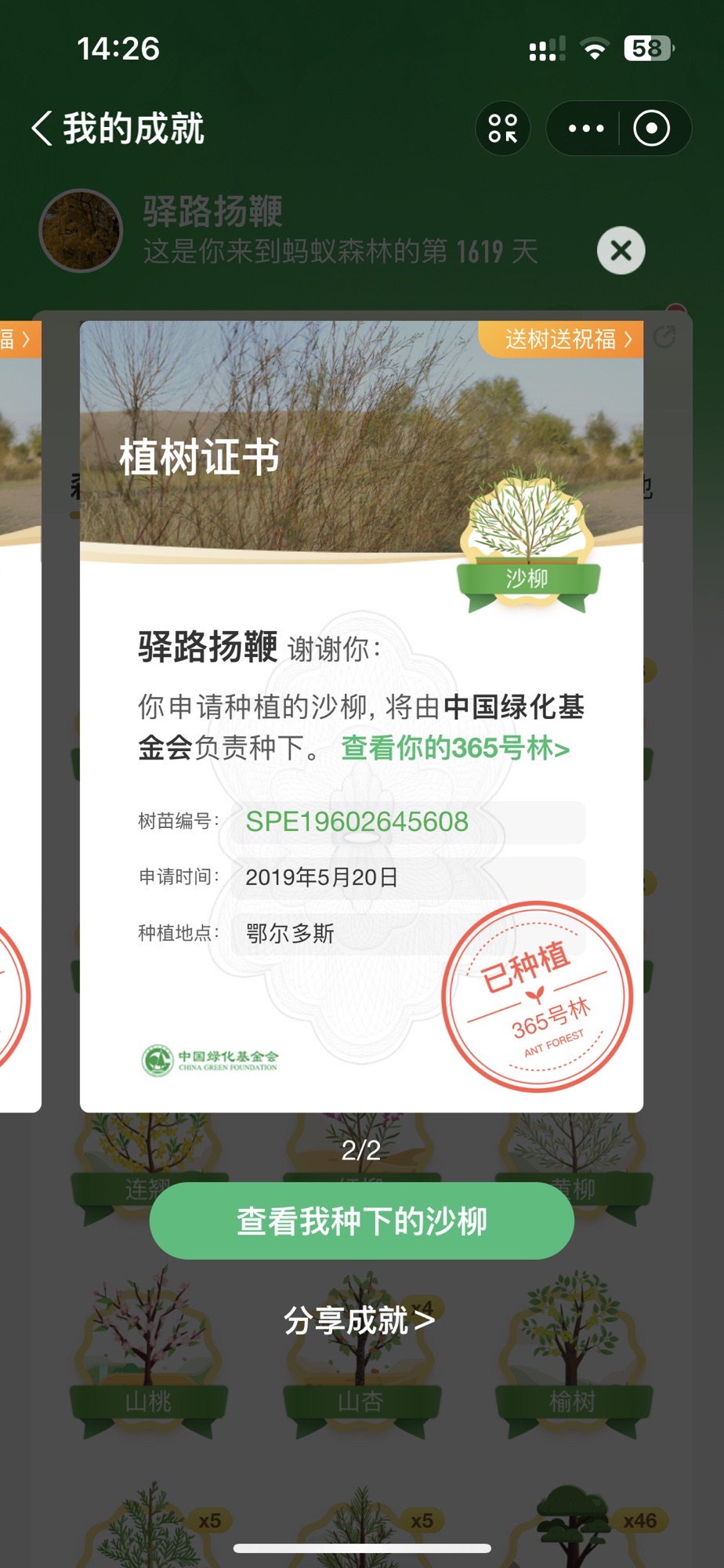 蚂蚁森林365号林·沙柳旅行图片 1