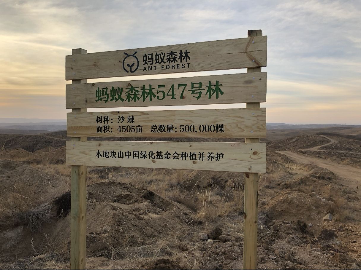 蚂蚁森林547号林·沙棘旅行图片 2