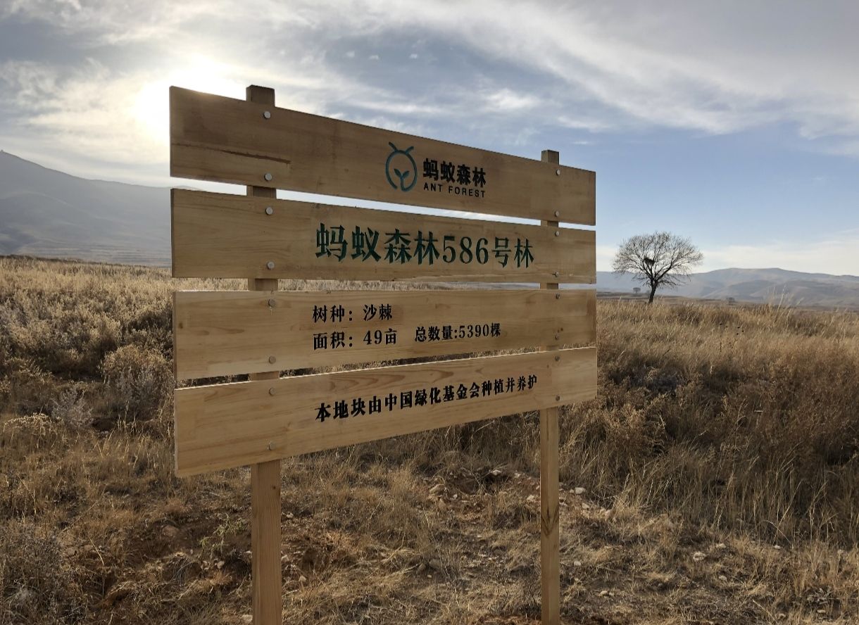 蚂蚁森林586号林-1·沙棘旅行图片 1