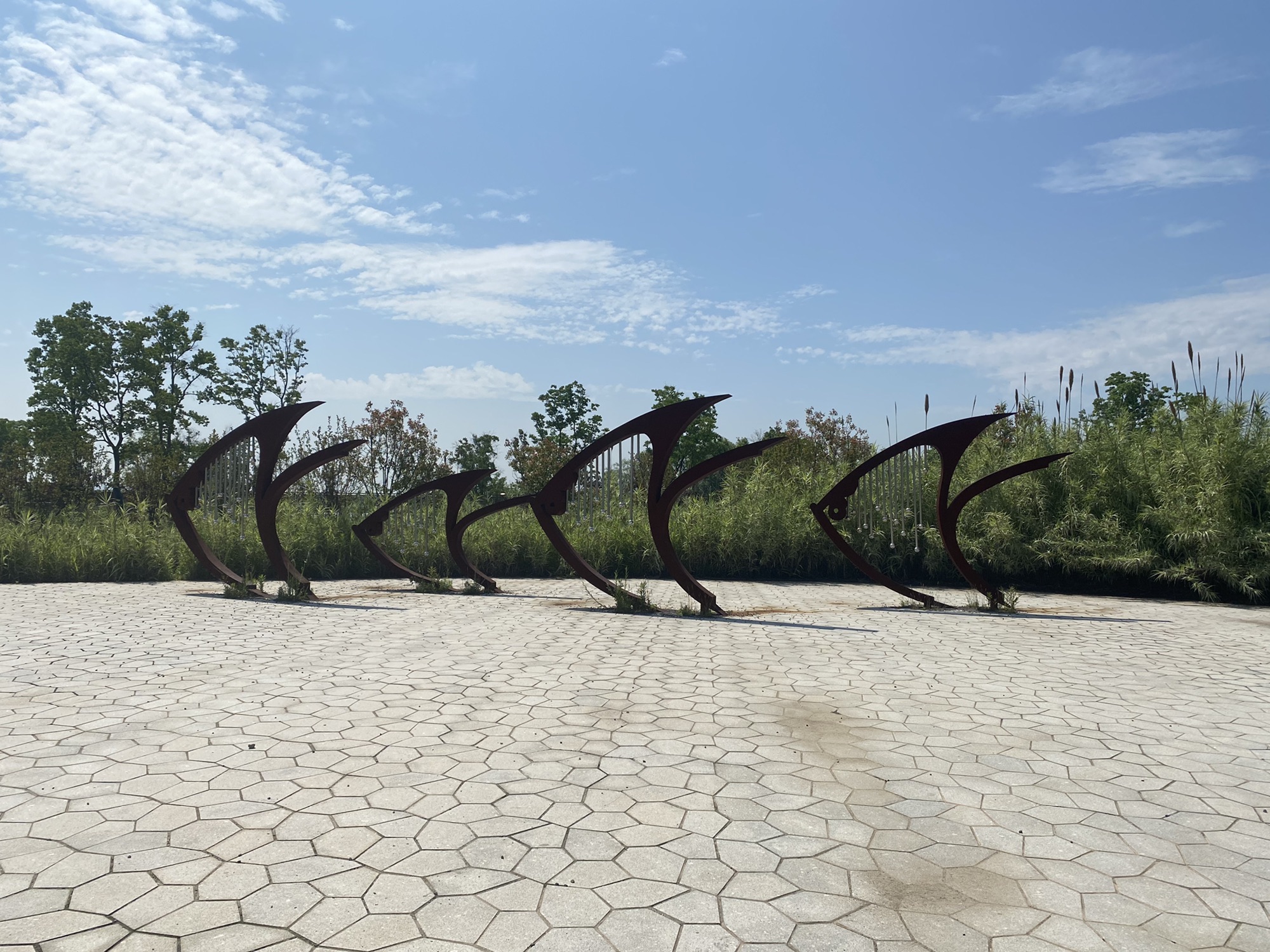 东龙山郊野公园旅行图片 1