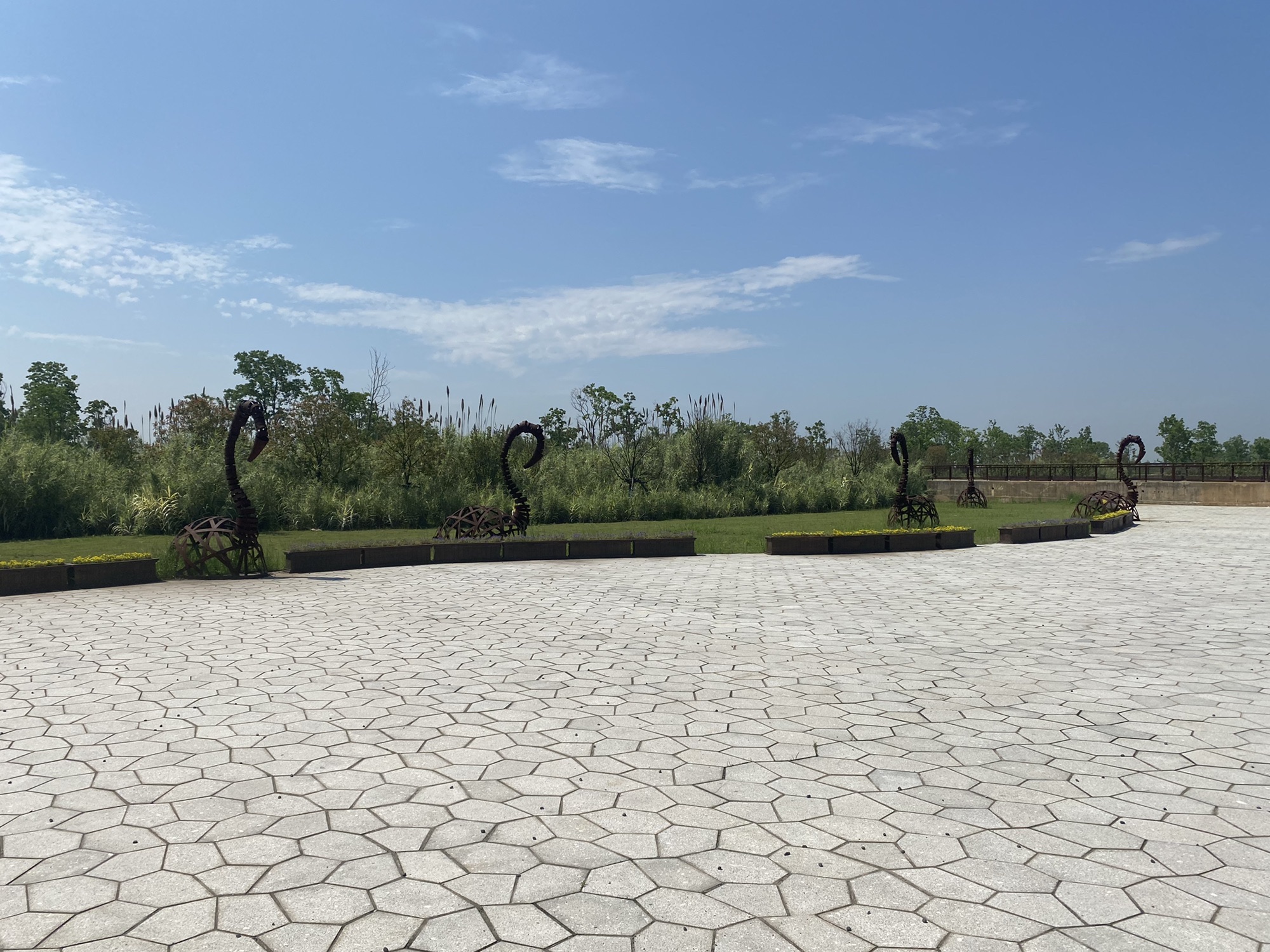 东龙山郊野公园旅行图片 2