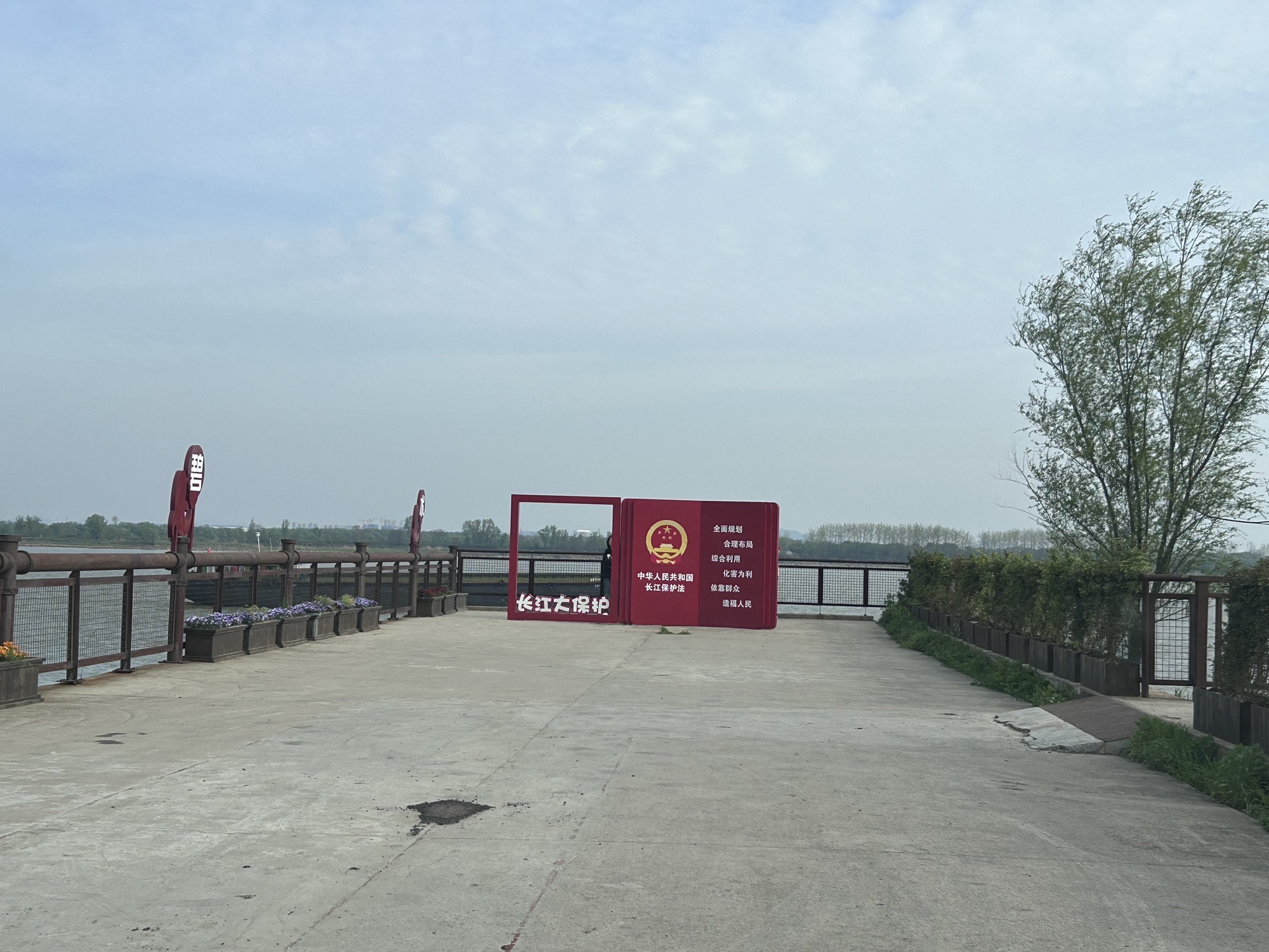 东龙山郊野公园旅行图片 1