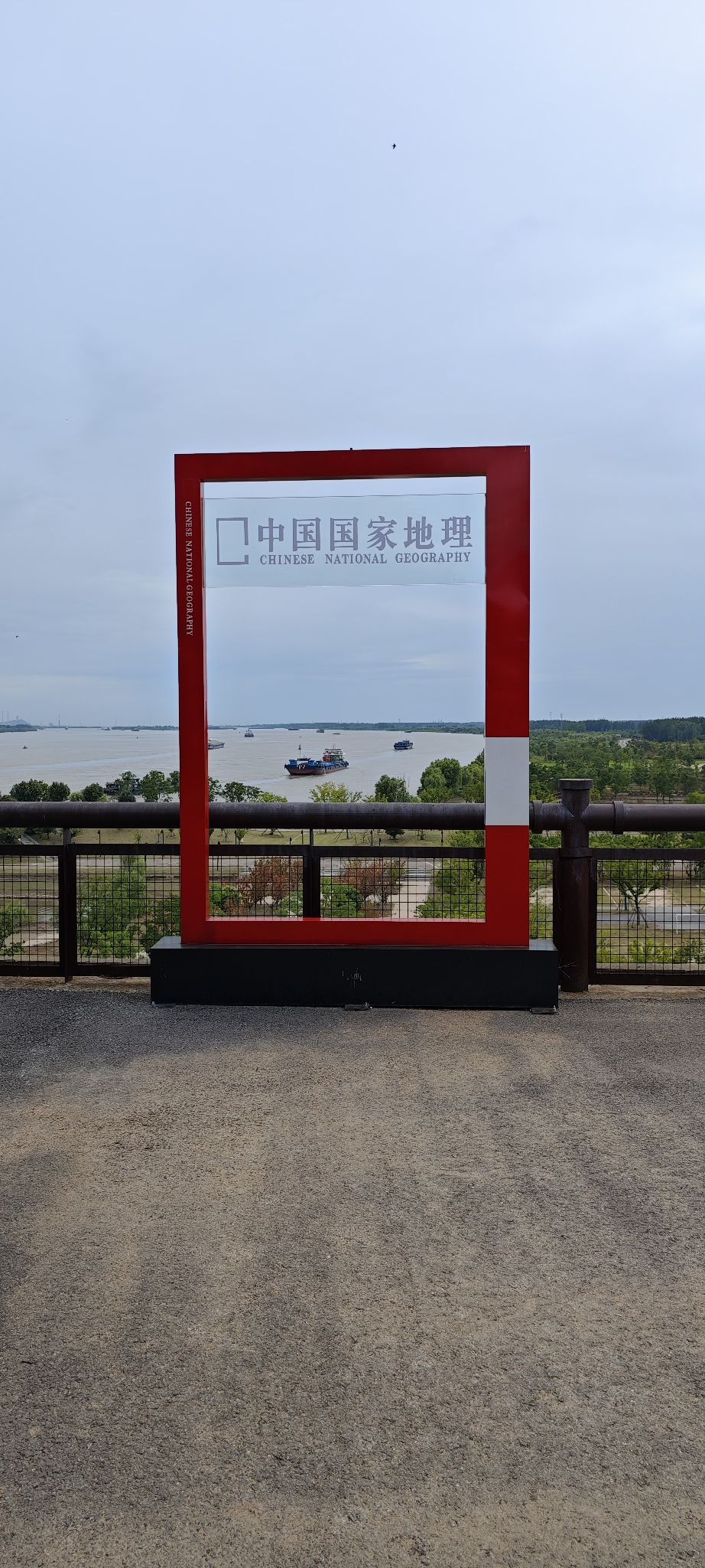 东龙山郊野公园旅行图片 3