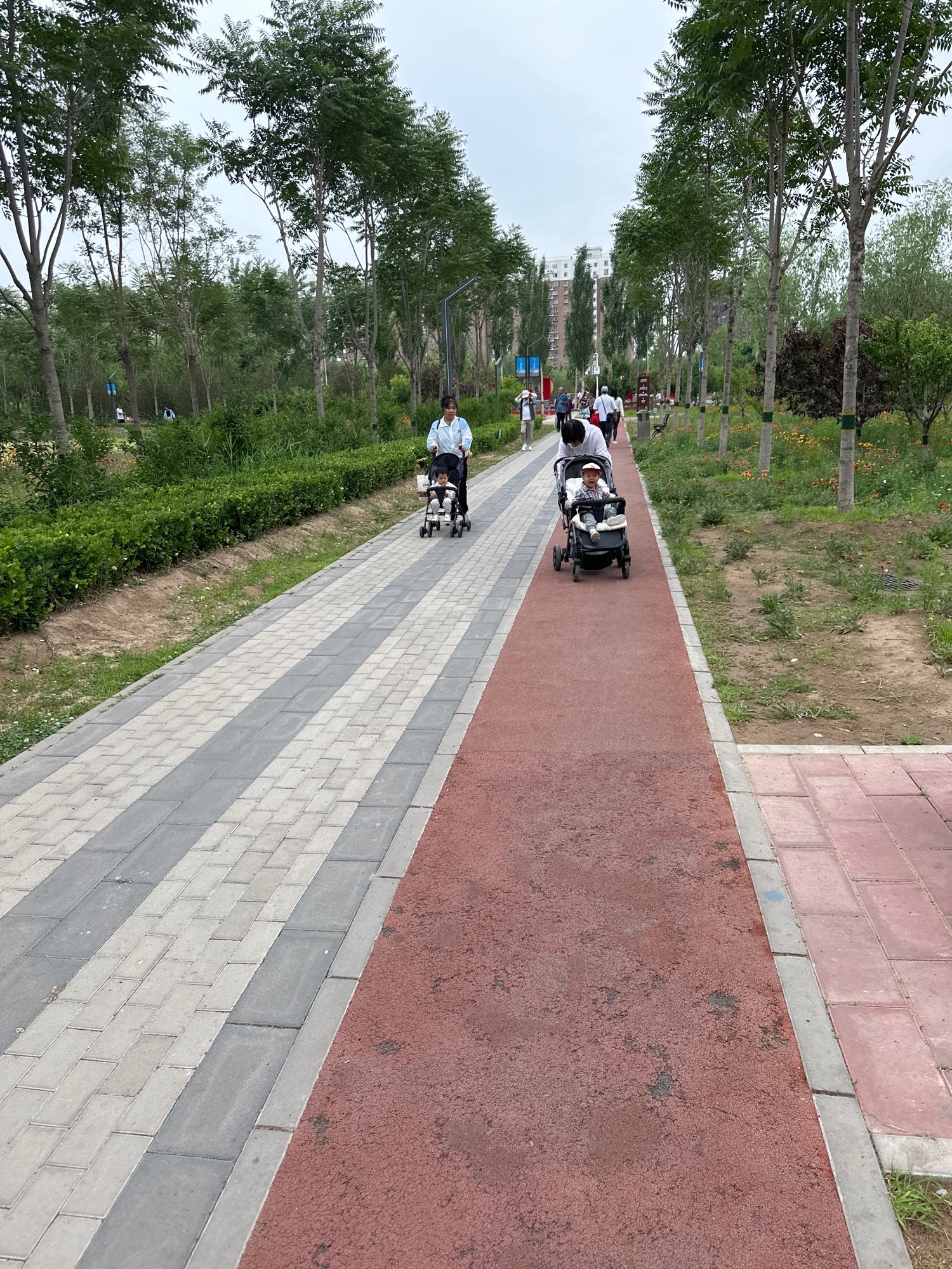 上泽公园旅行图片 3