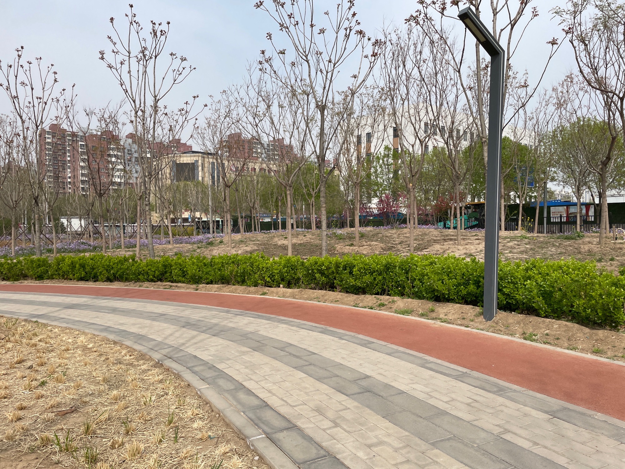 上泽公园旅行图片 3