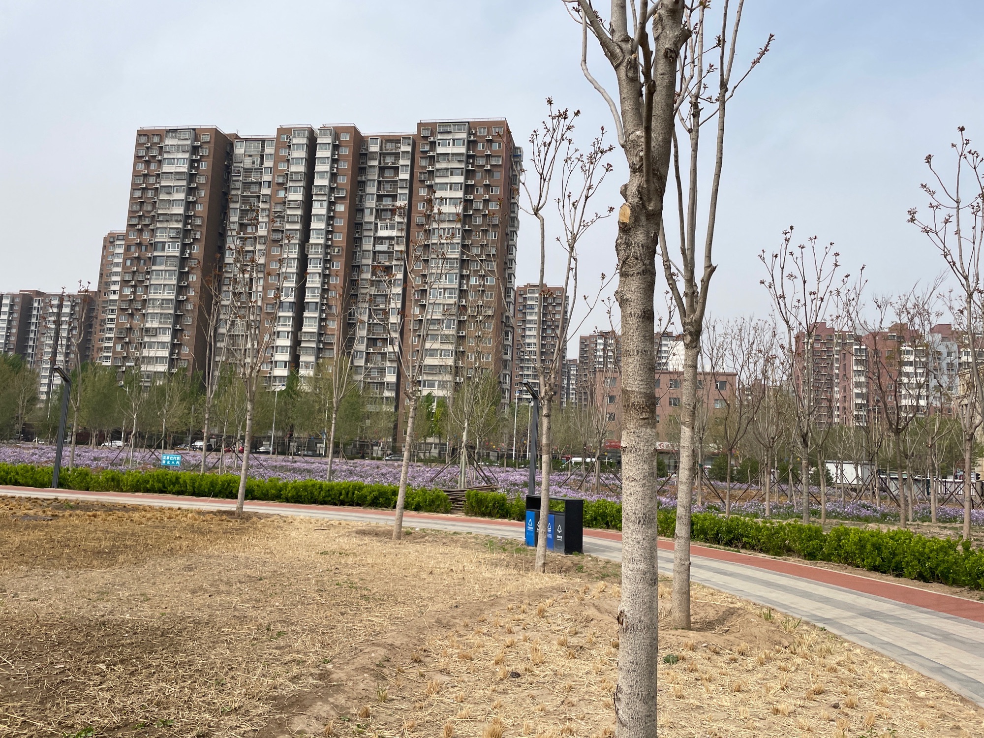 上泽公园旅行图片 2