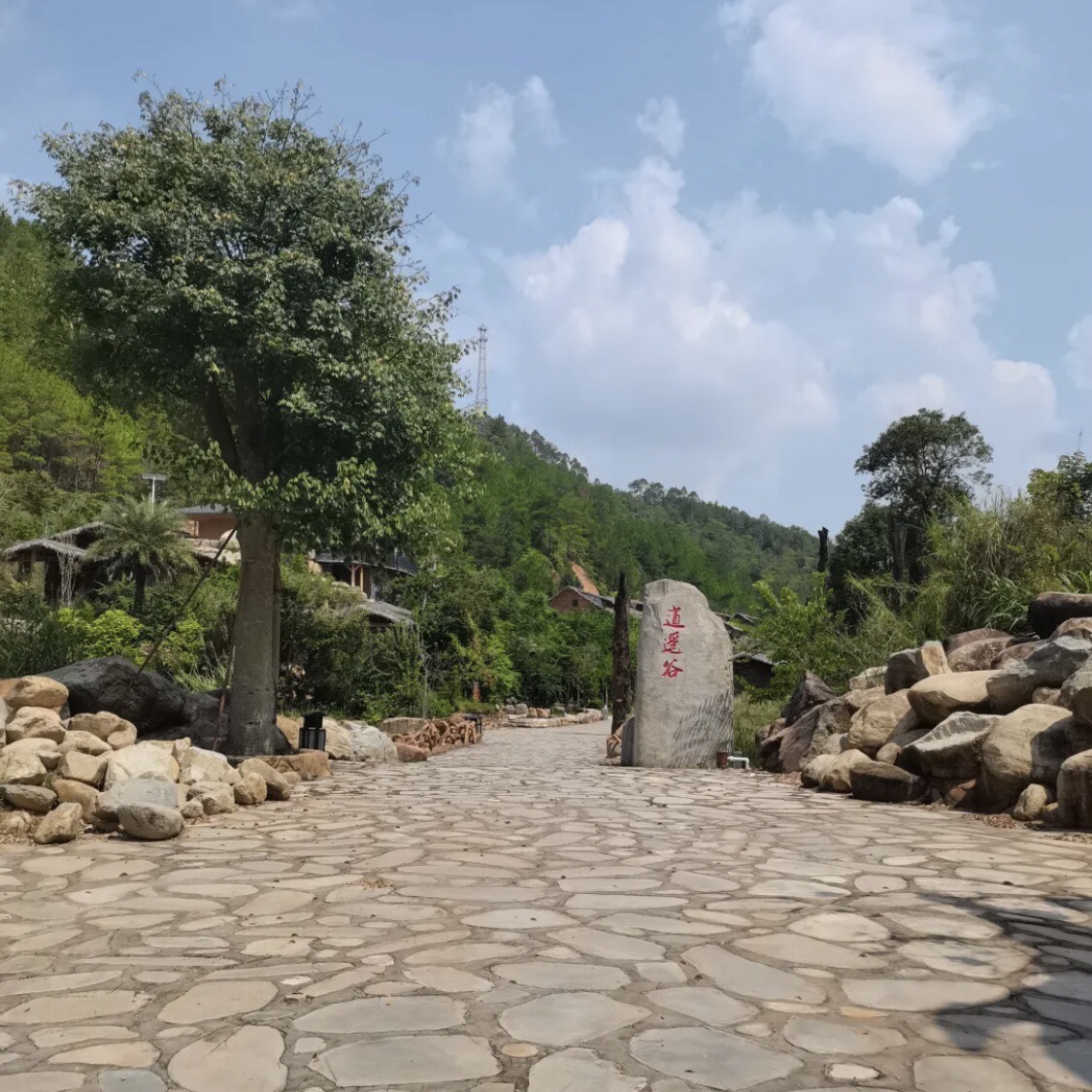 逍遥谷旅行图片 1