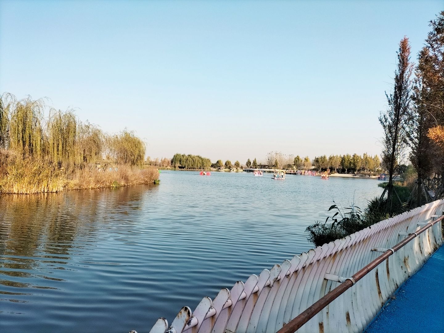 披烟园中水湿地公园旅行图片 1